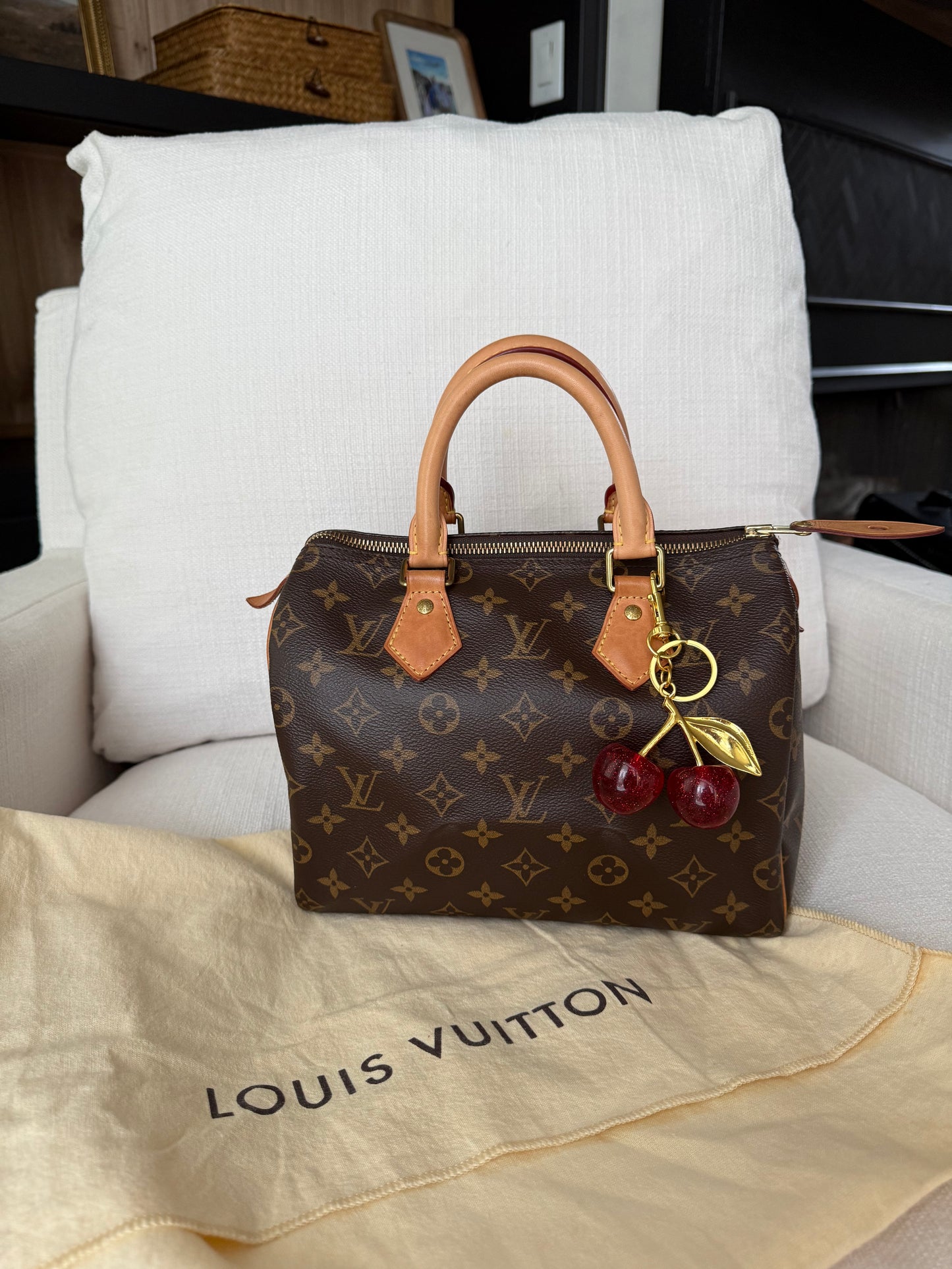 Louis Vuitton Speedy 25 Monogram