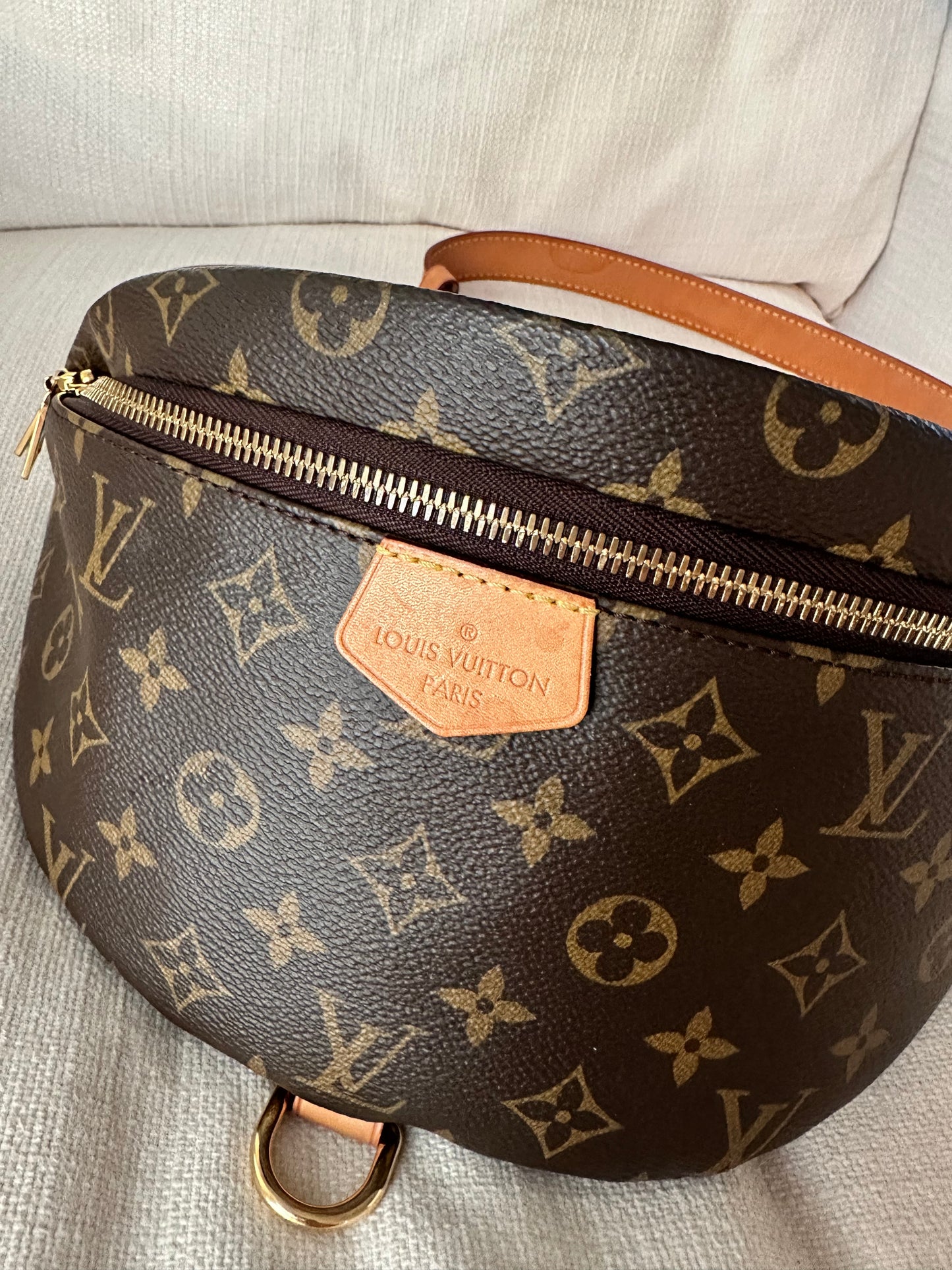 Louis Vuitton Bumbag Monogram