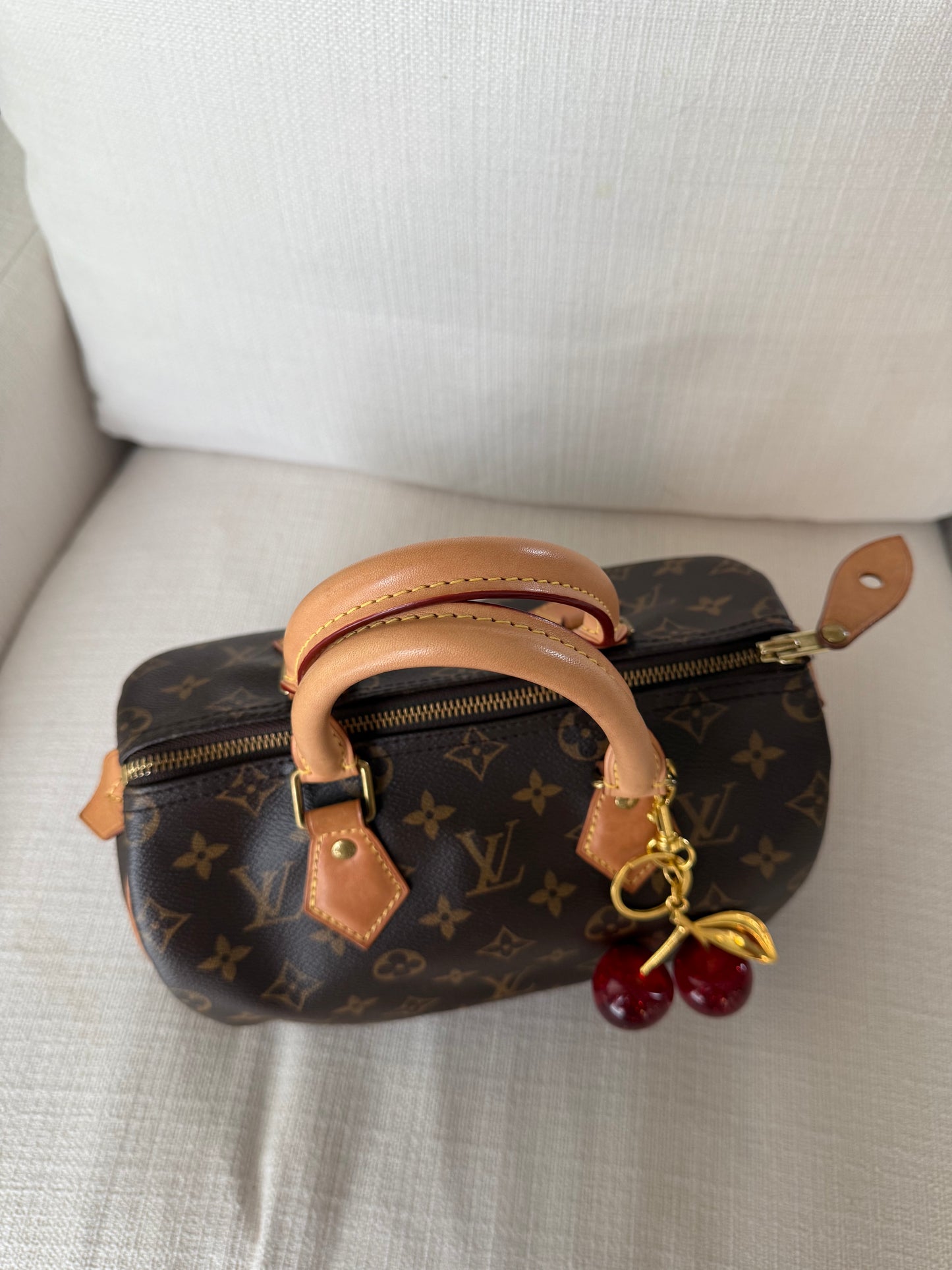 Louis Vuitton Speedy 25 Monogram