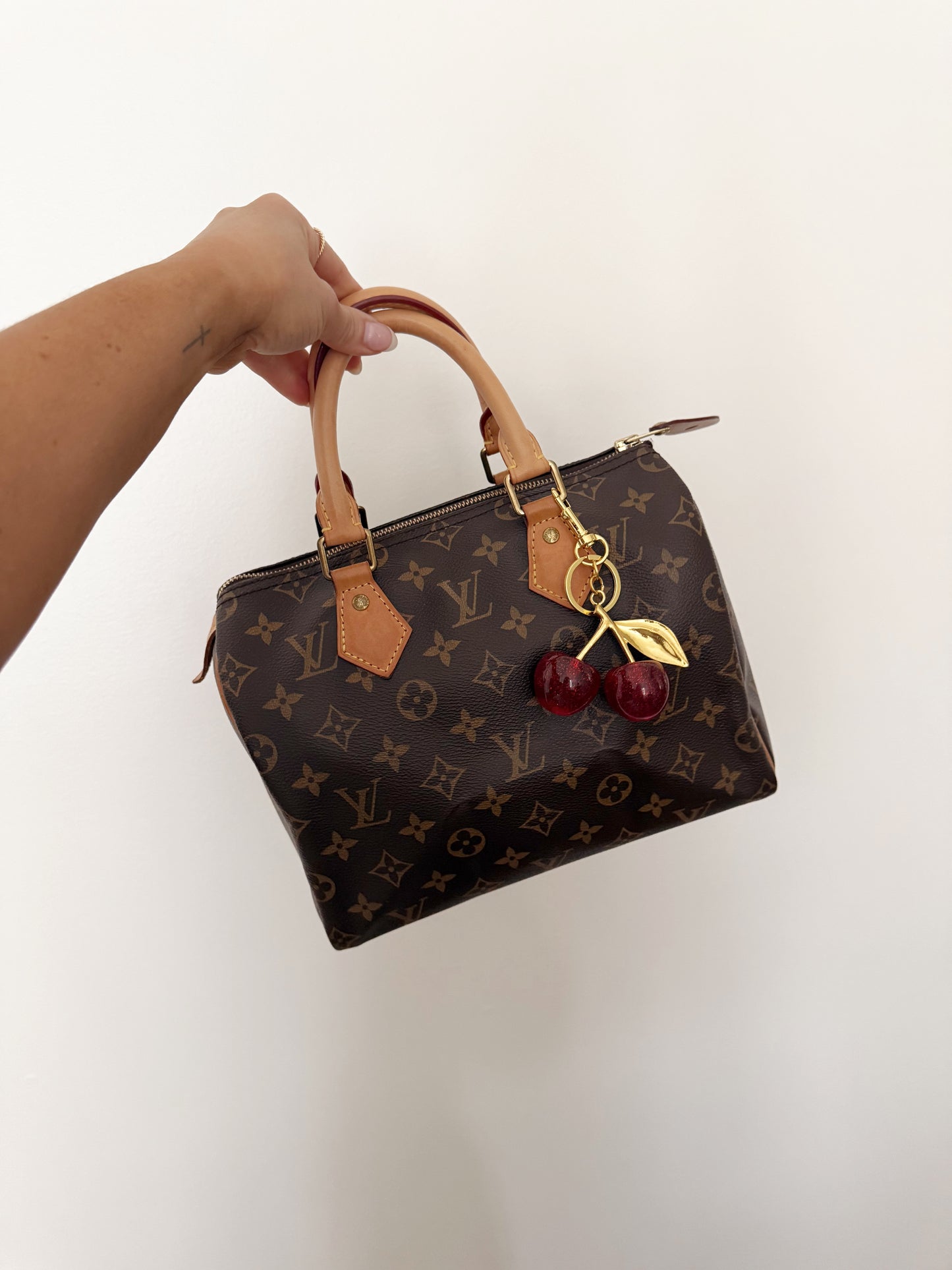 Louis Vuitton Speedy 25 Monogram