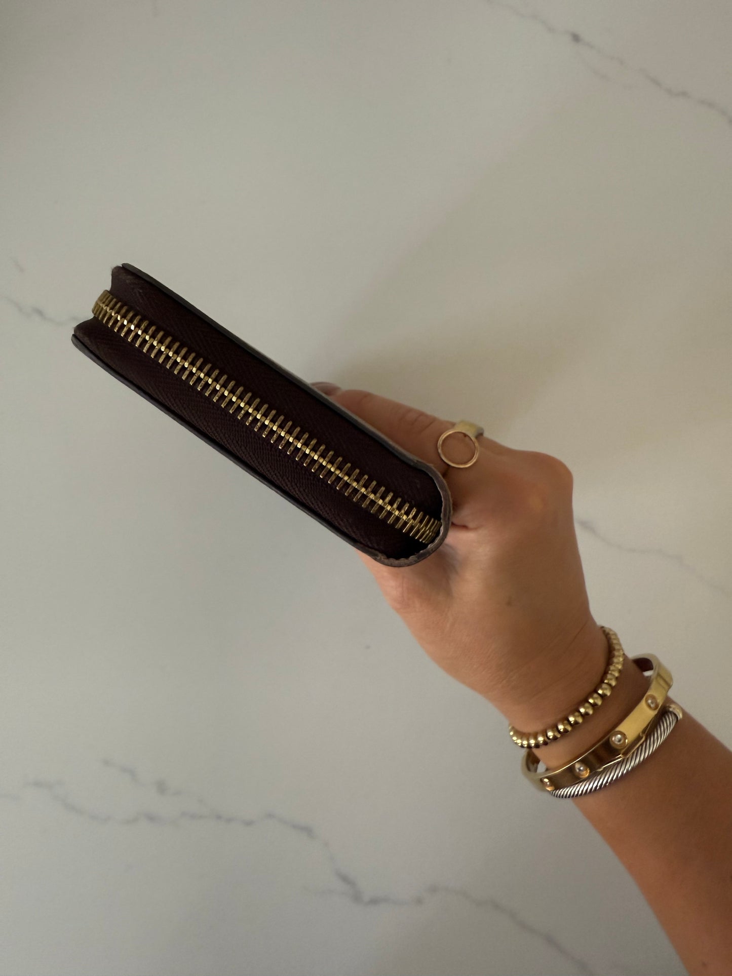 Louis Vuitton Large Zip Wallet