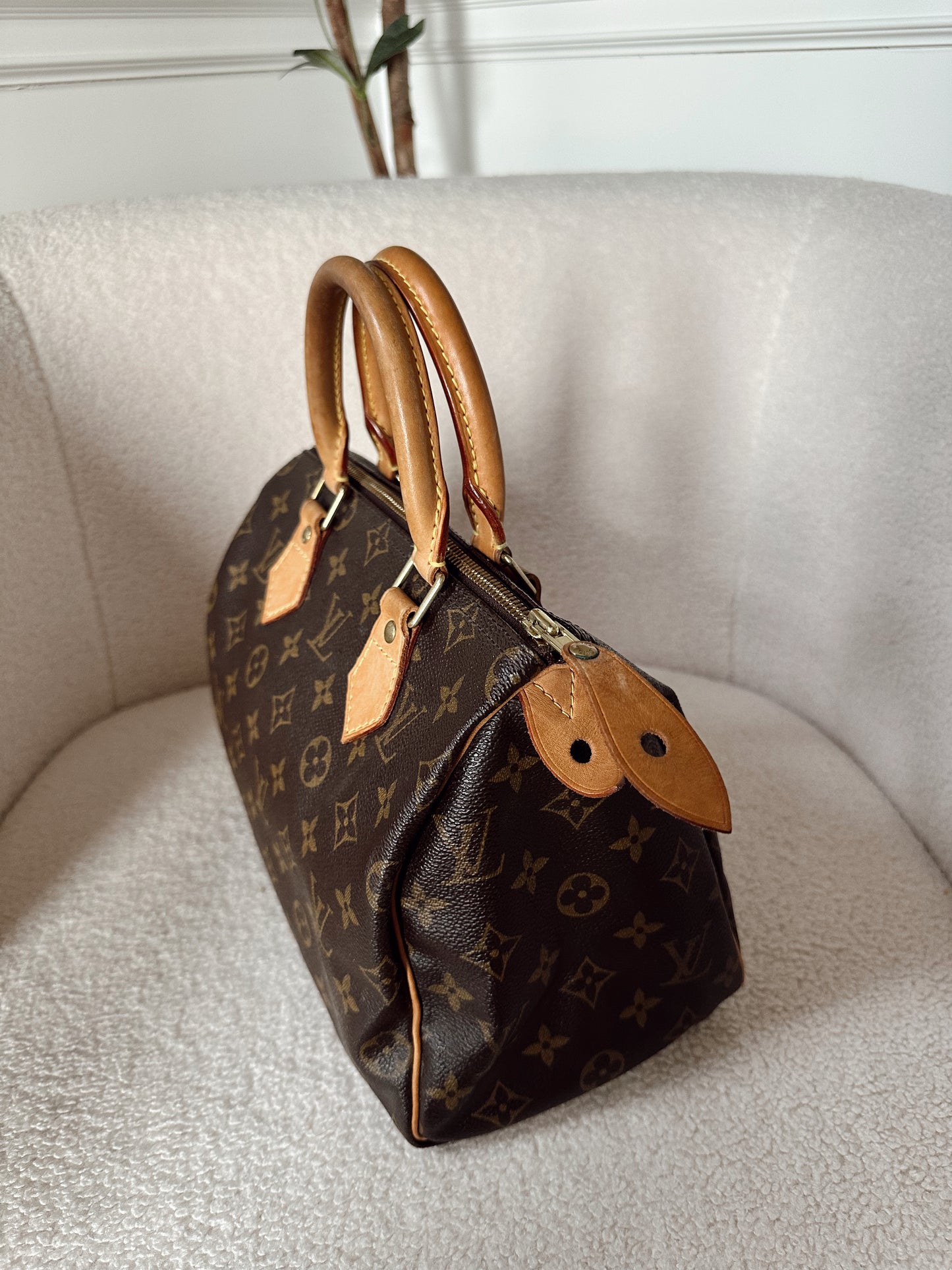 Louis Vuitton Speedy 25 Monogram