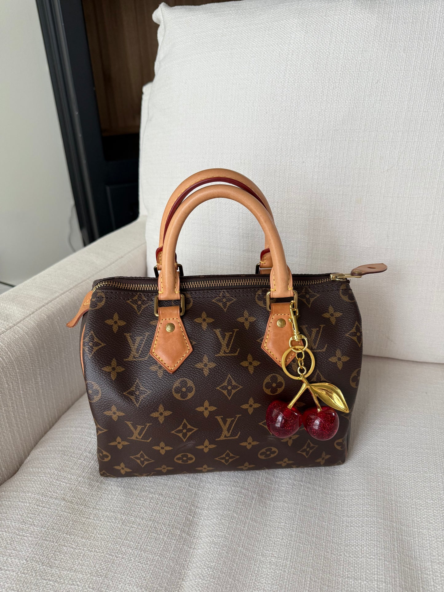 Louis Vuitton Speedy 25 Monogram