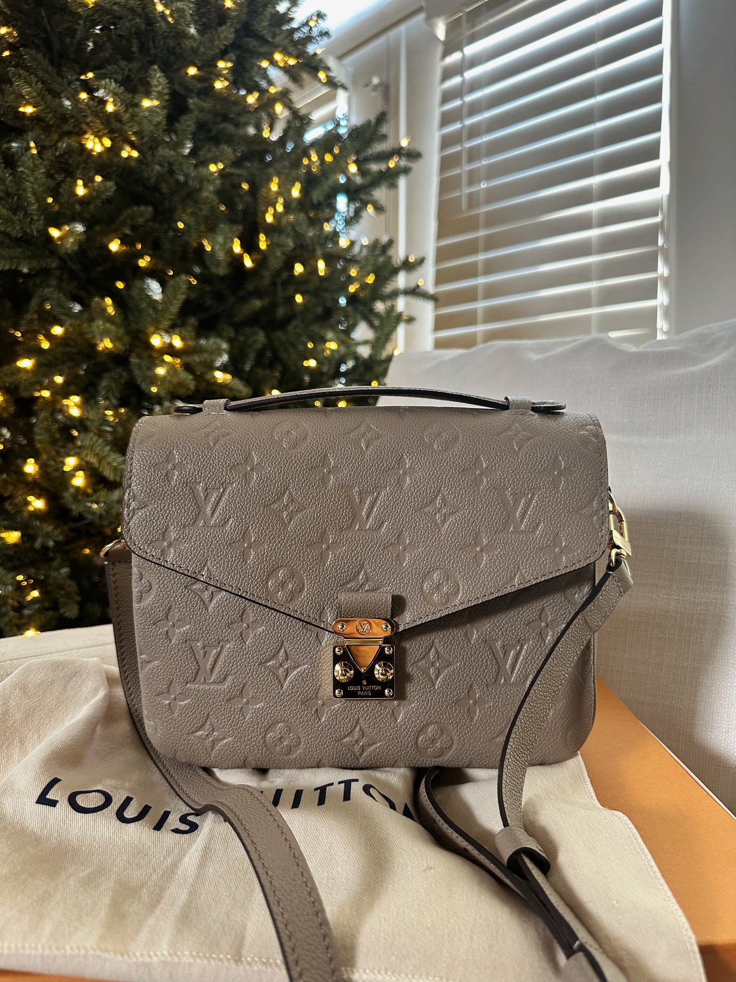 Louis Vuitton Pochette Metis Turtle Dove