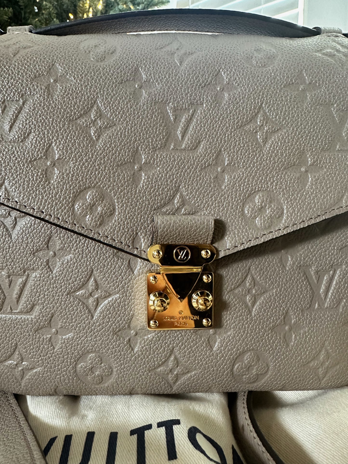 Louis Vuitton Pochette Metis Turtle Dove