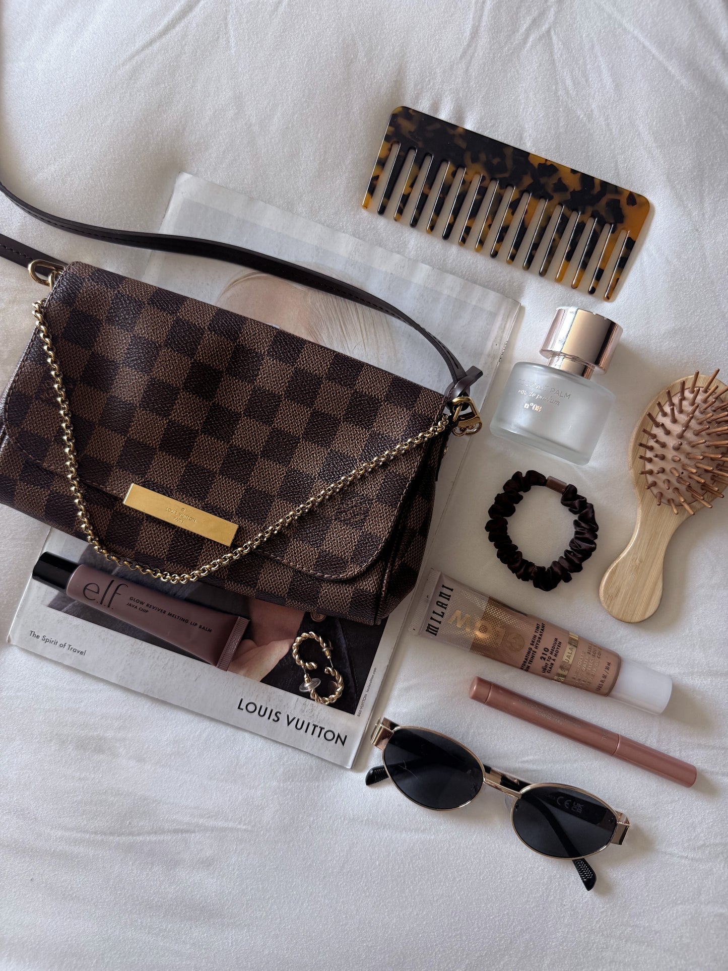 Louis Vuitton Favorite PM Damier Ebene