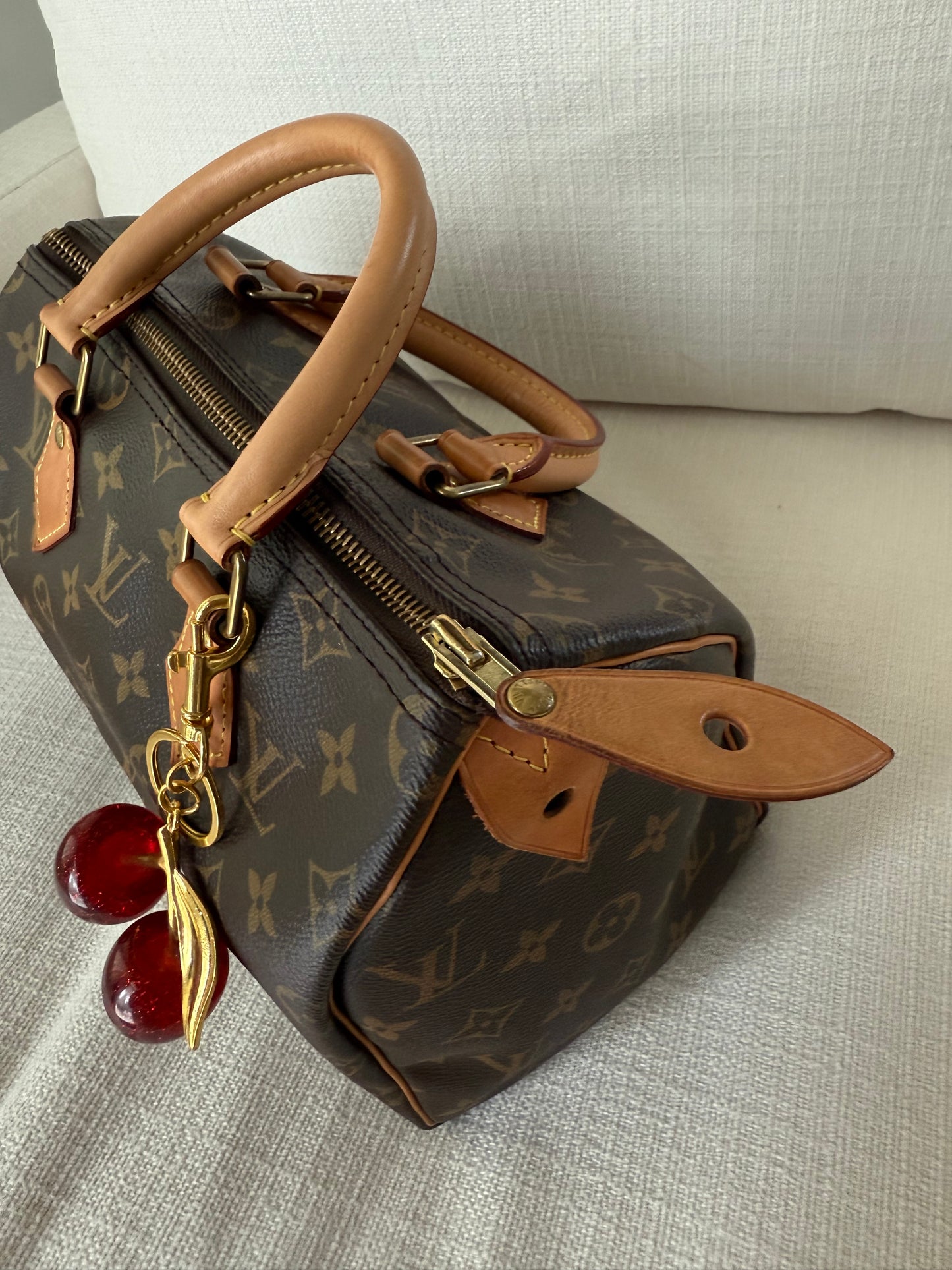 Louis Vuitton Speedy 25 Monogram