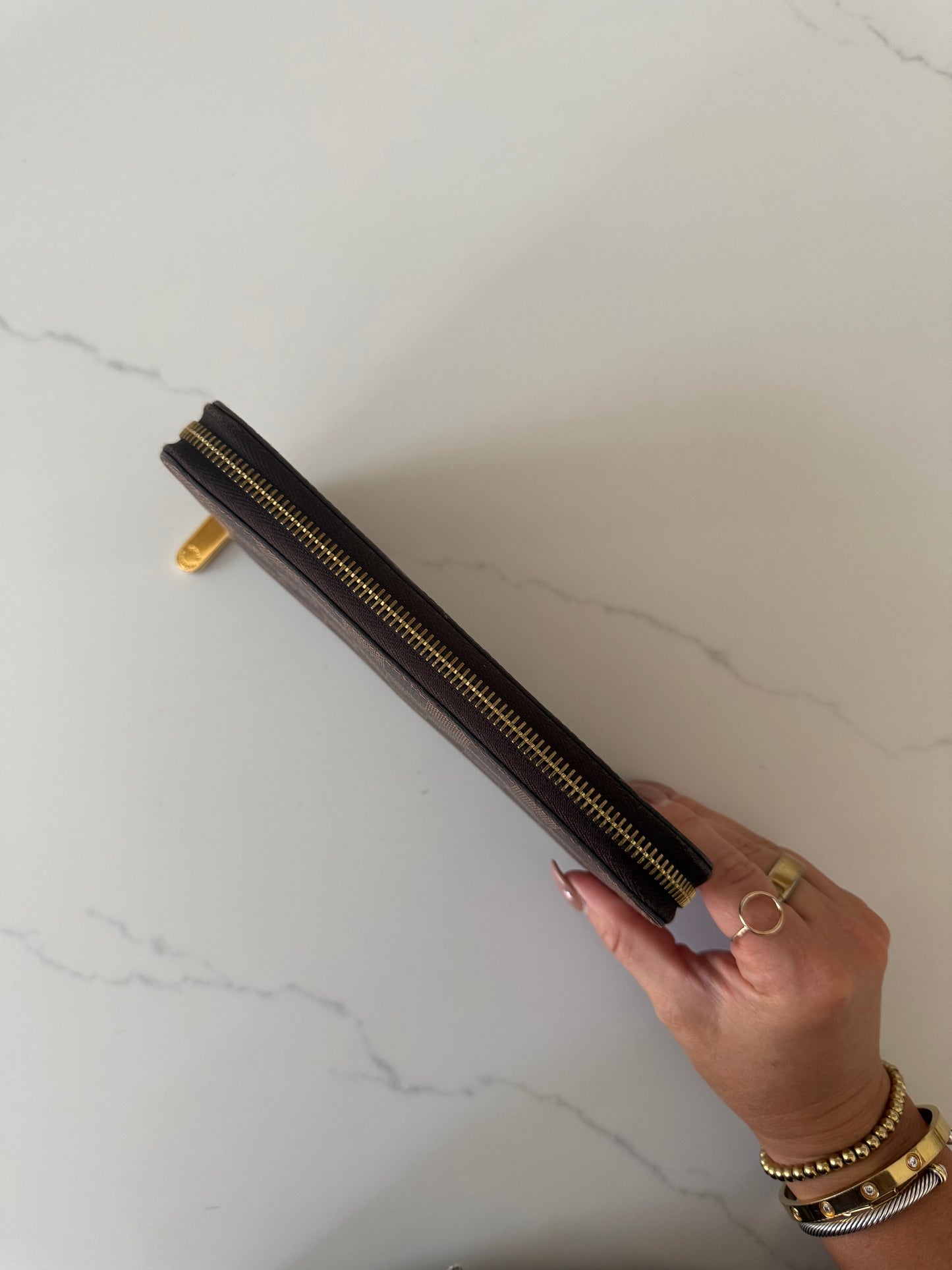 Louis Vuitton Large Zip Wallet