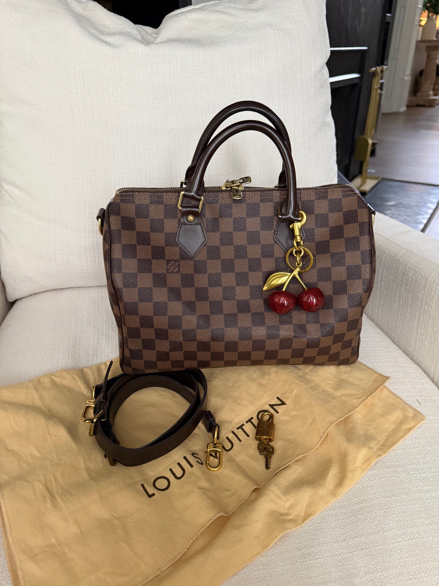 Louis Vuitton Speedy Damier Ebene 30