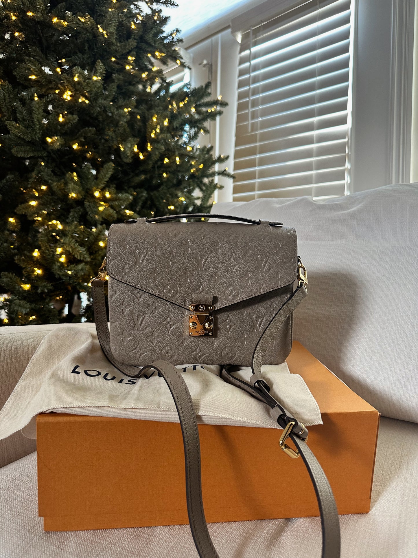 Louis Vuitton Pochette Metis Turtle Dove