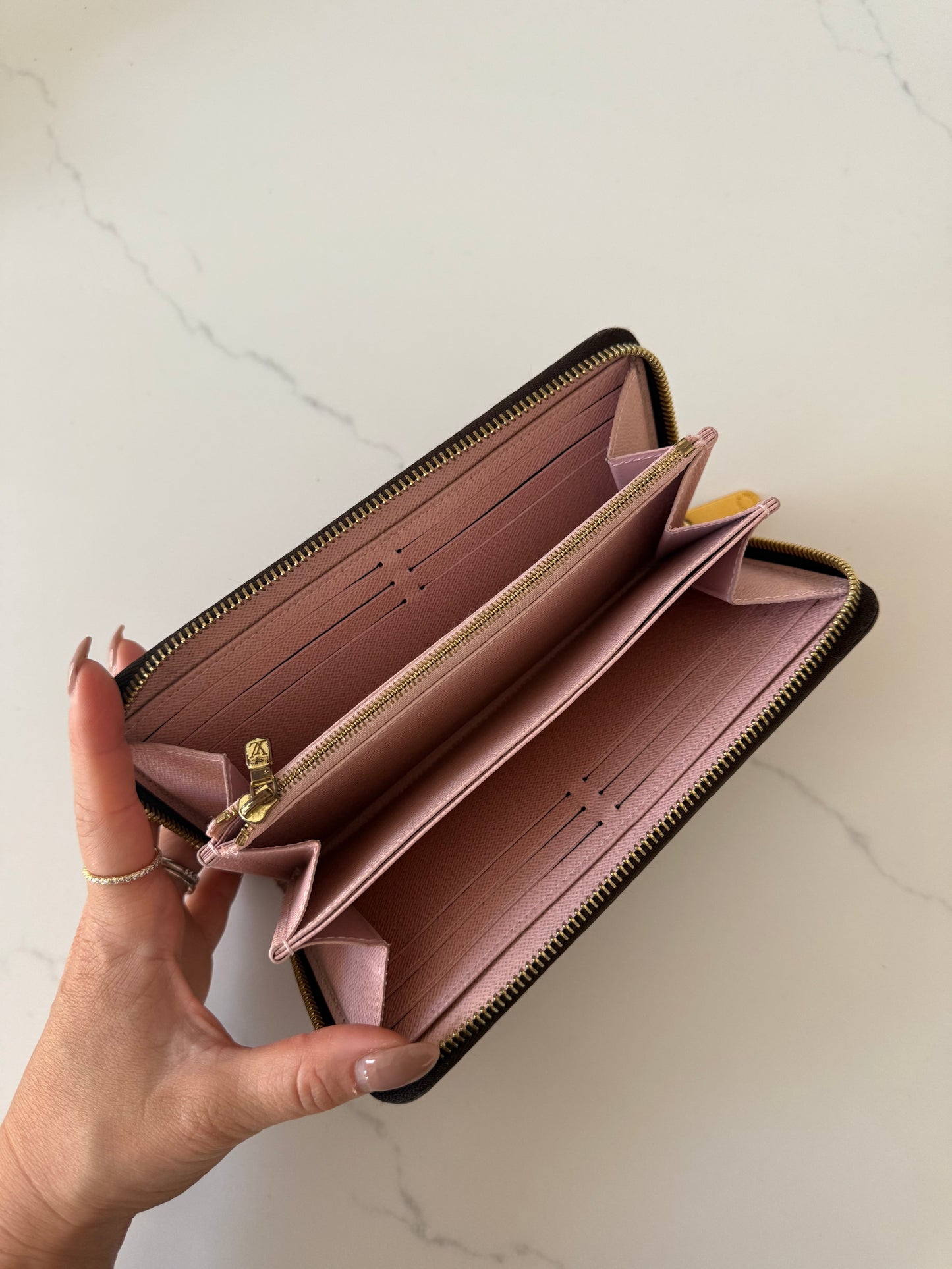 Louis Vuitton Large Zip Wallet