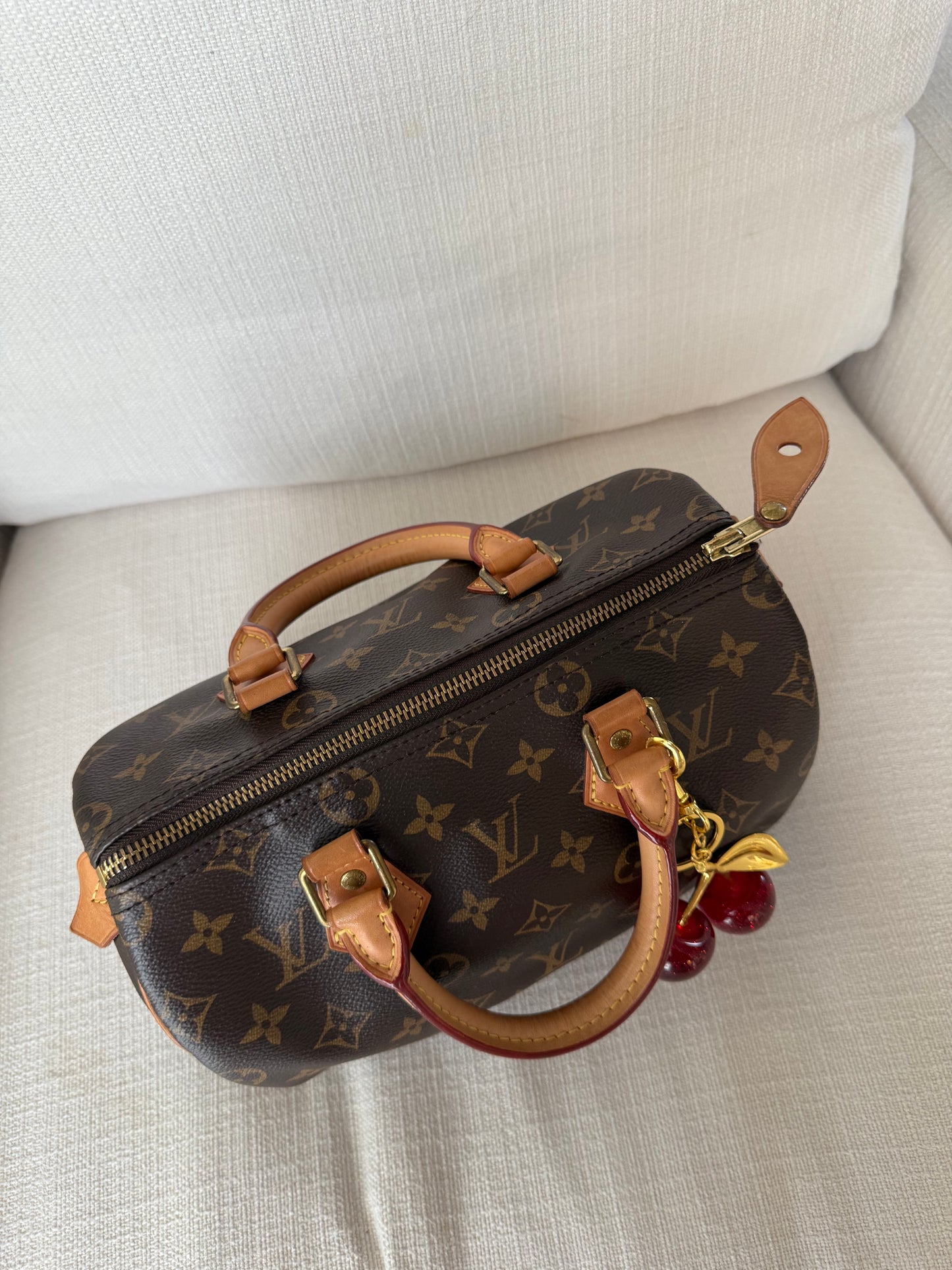 Louis Vuitton Speedy 25 Monogram