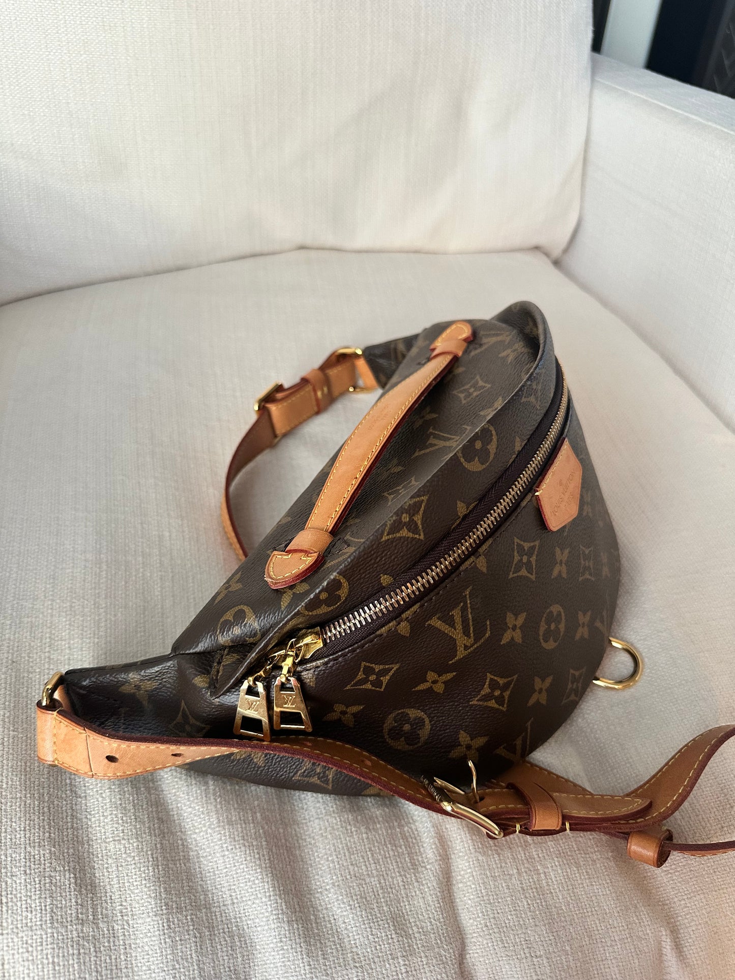 Louis Vuitton Bumbag Monogram
