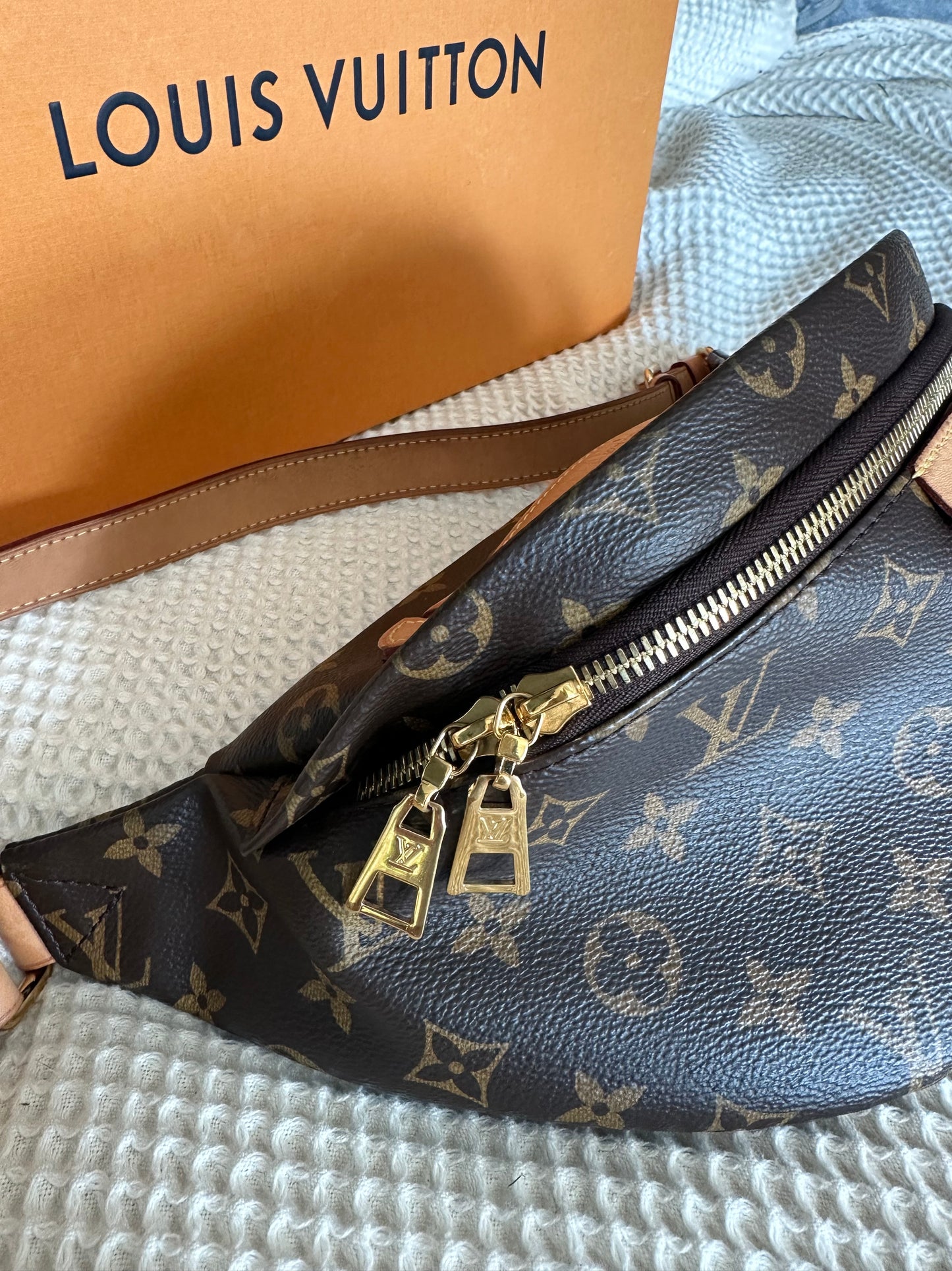 Louis Vuitton Bumbag