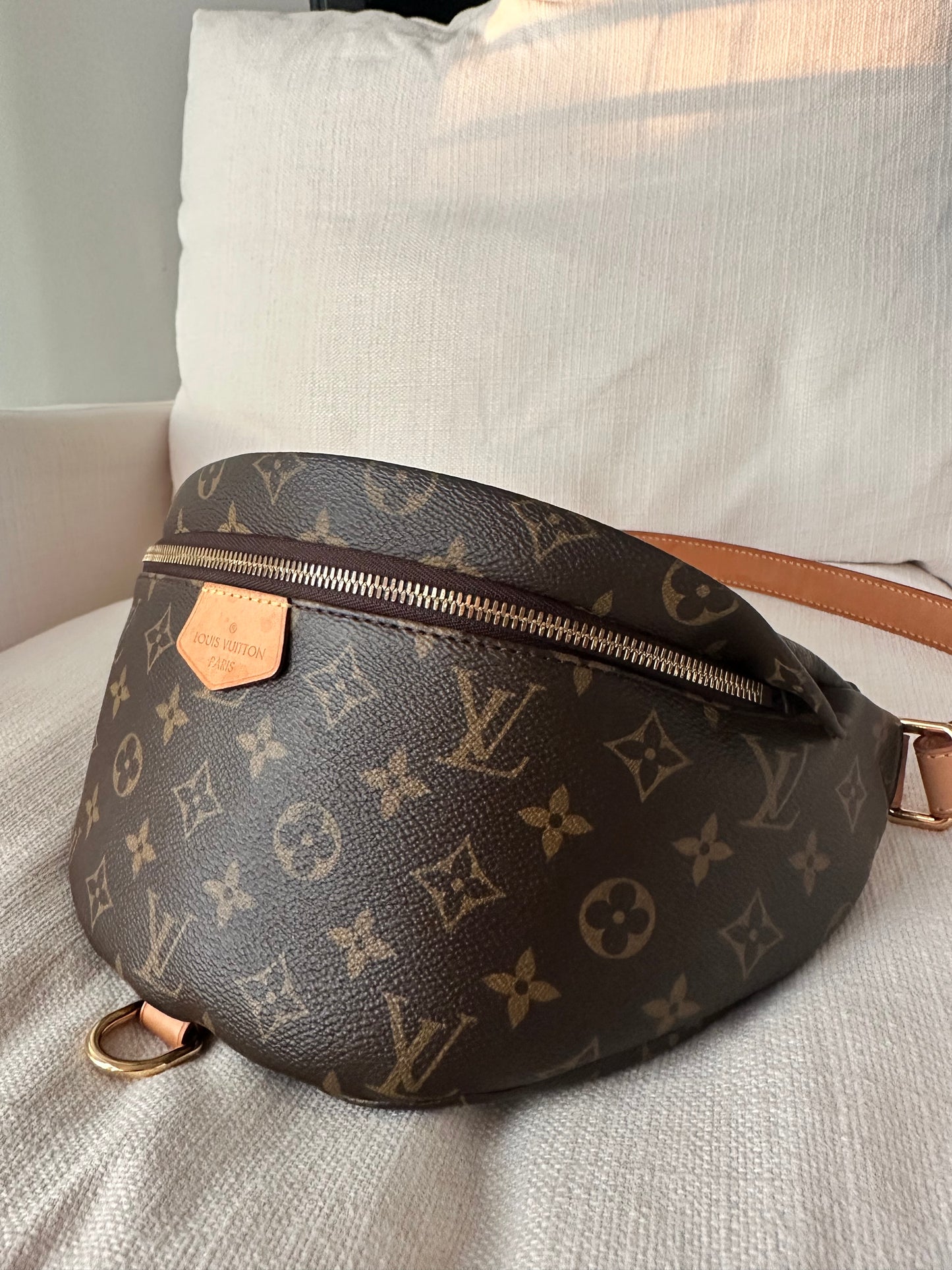 Louis Vuitton Bumbag Monogram