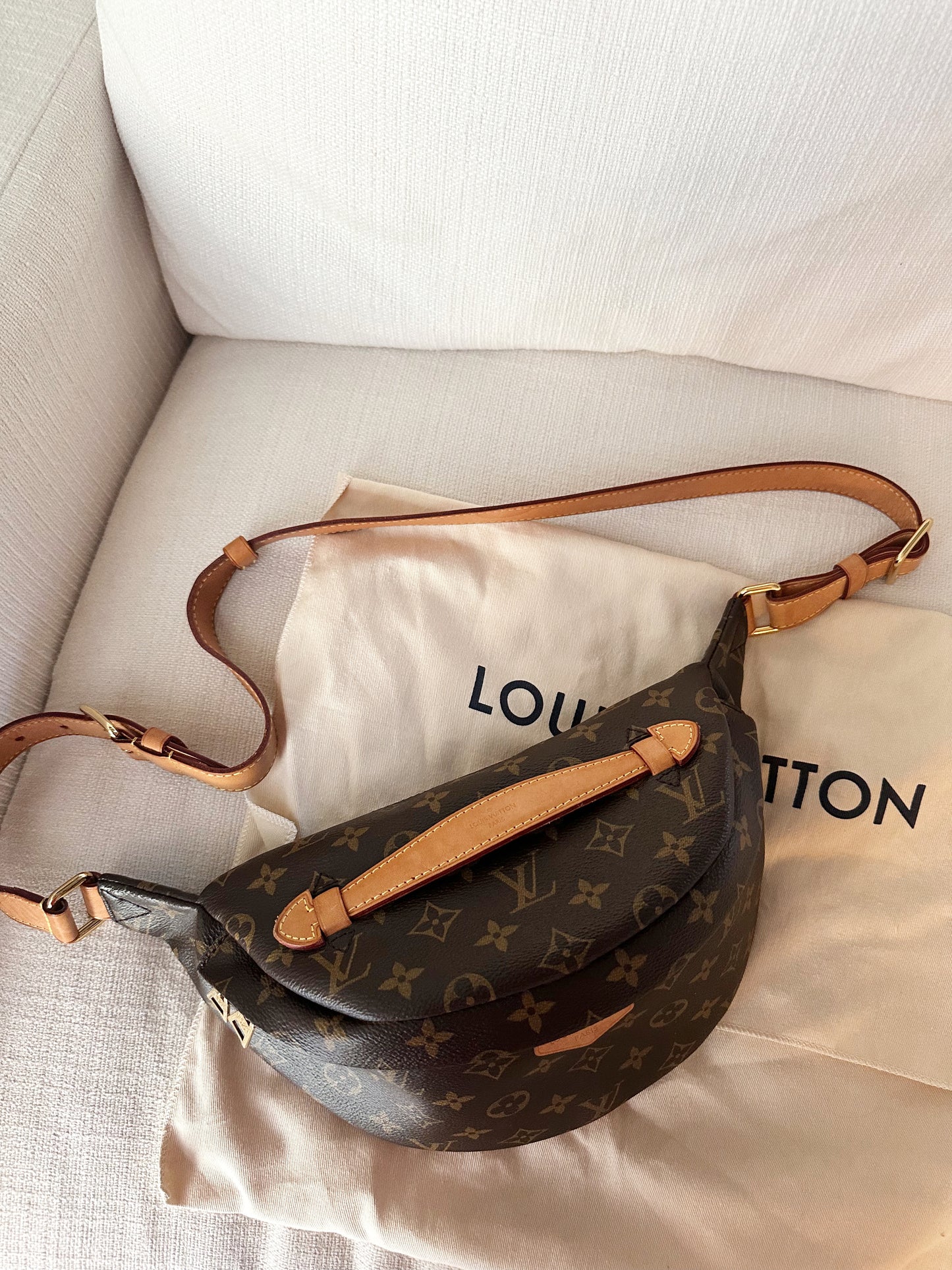 Louis Vuitton Bumbag Monogram