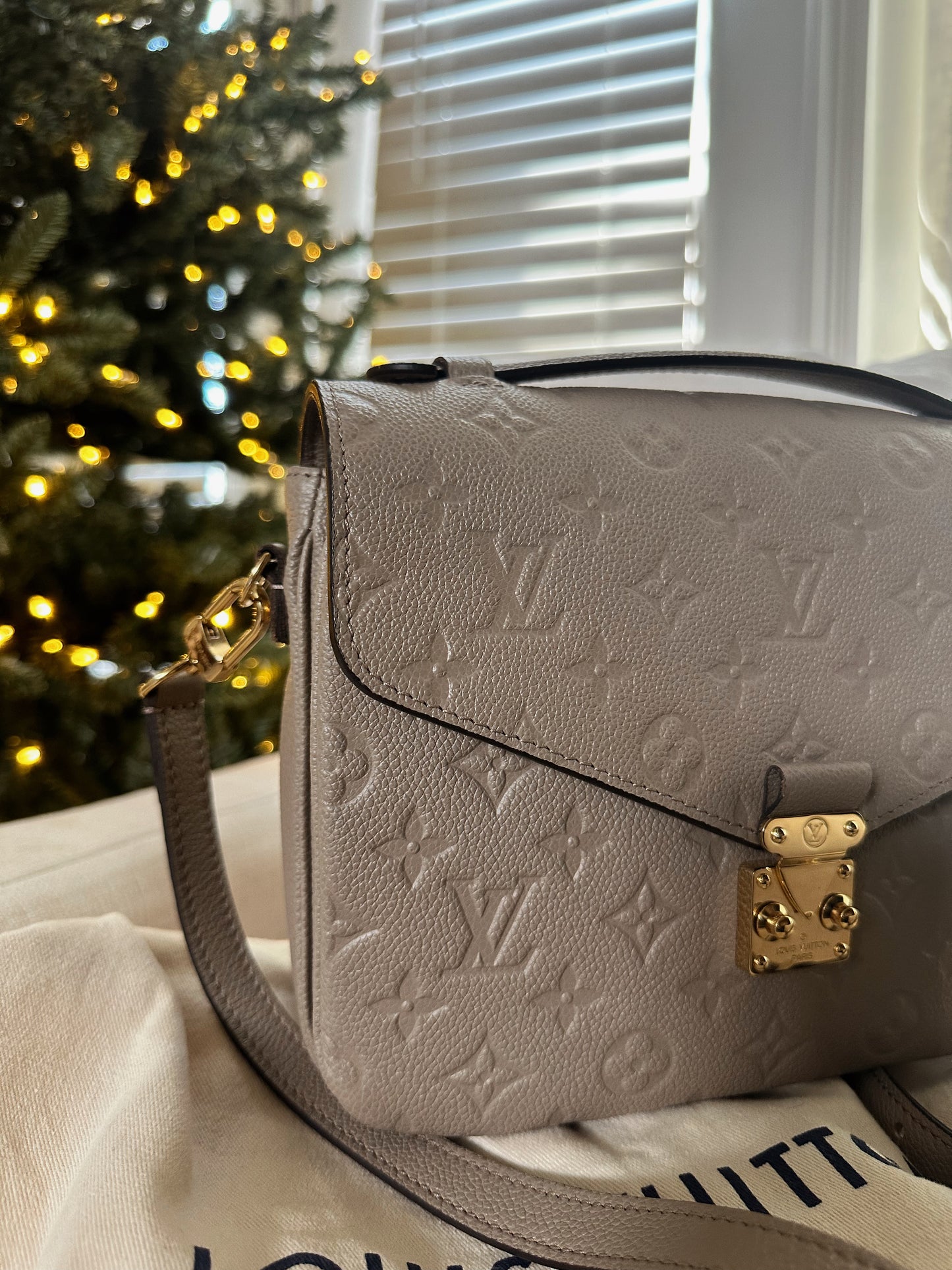 Louis Vuitton Pochette Metis Turtle Dove
