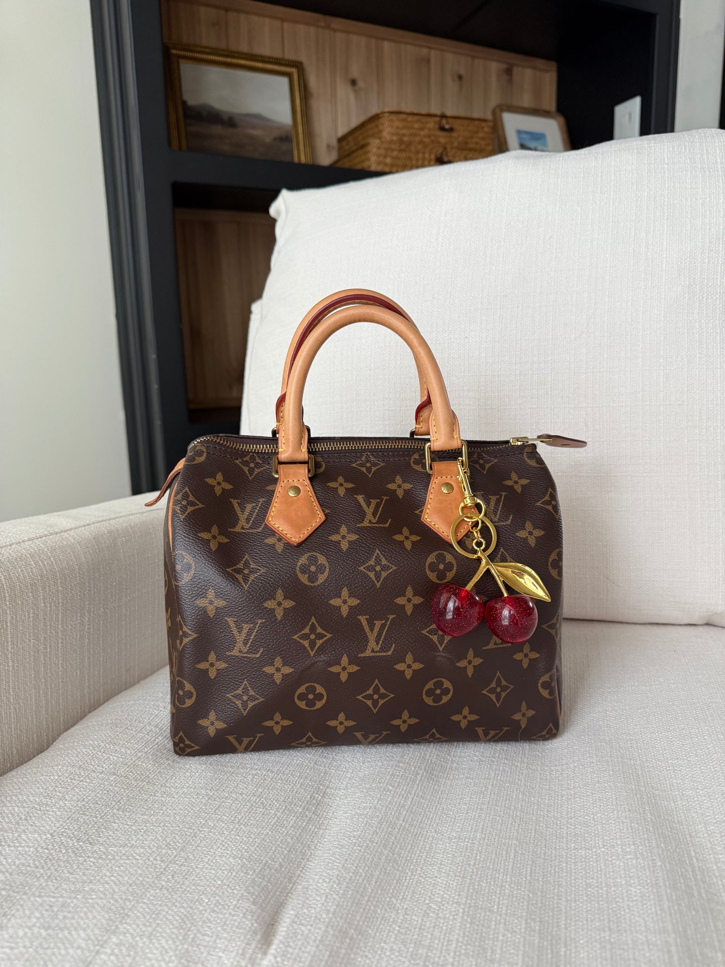 Louis Vuitton Speedy 25 Monogram