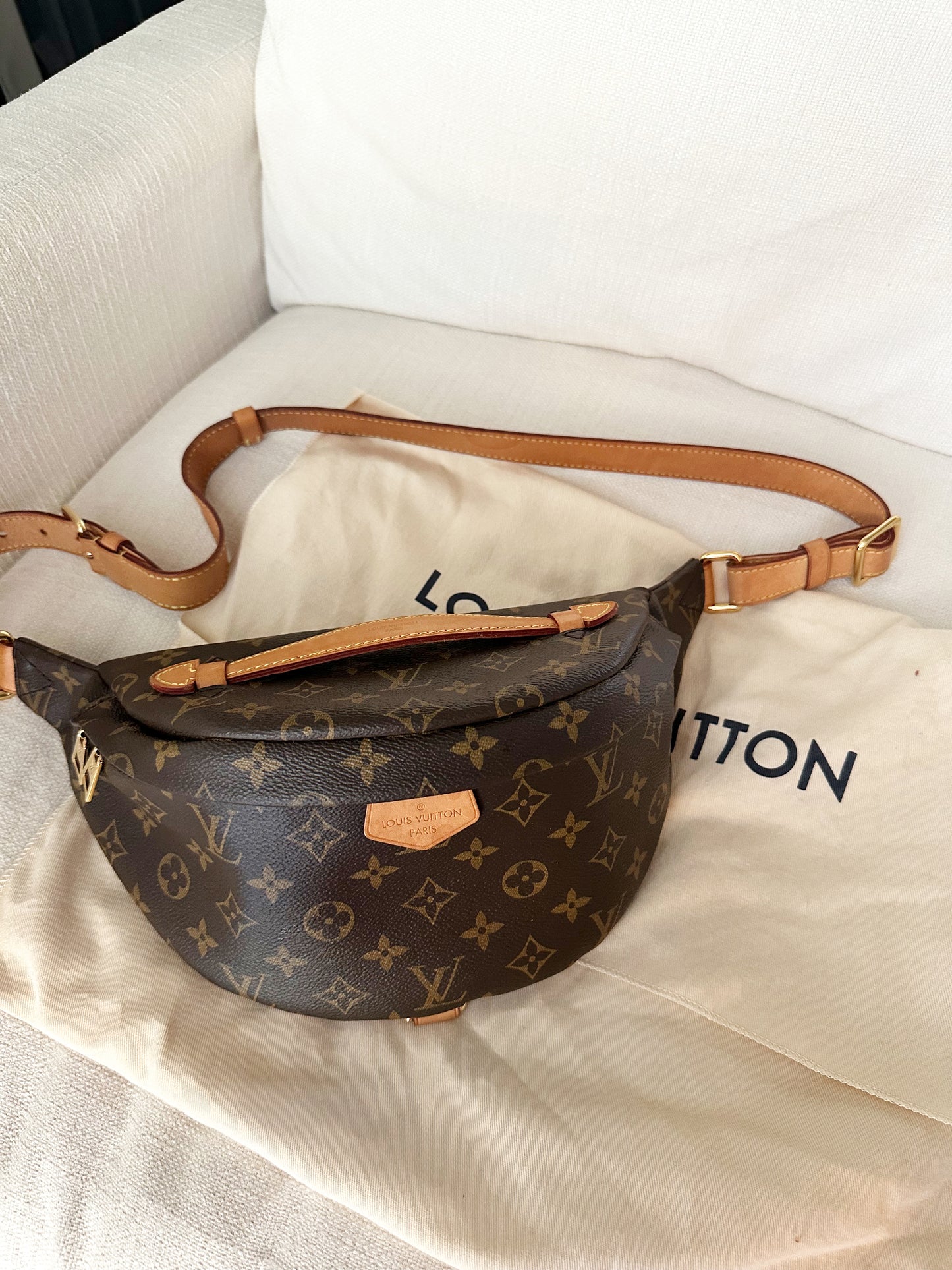 Louis Vuitton Bumbag Monogram