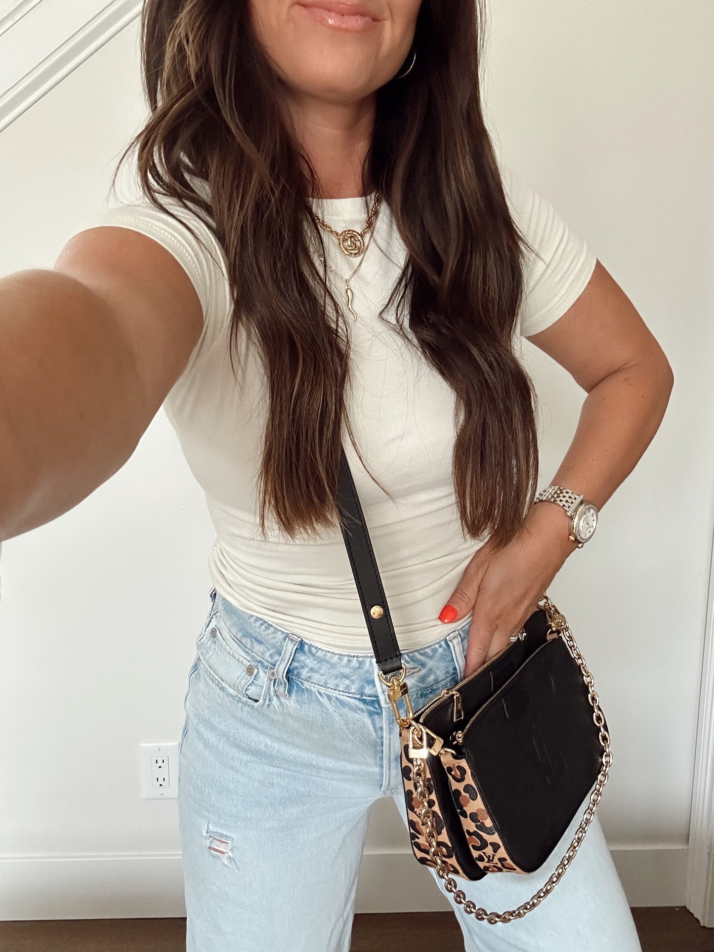 Louis Vuitton Multi Pochette Accessoires Wild At Heart