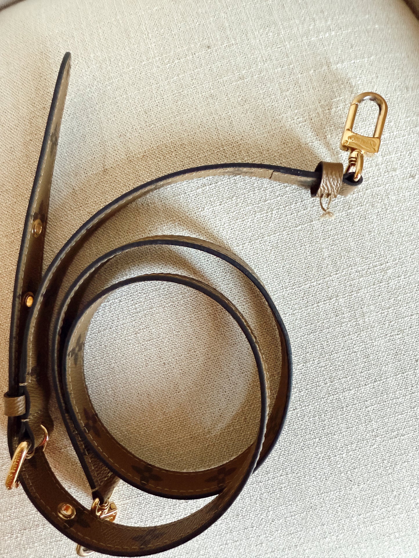 Louis Vuitton Reverse Monogram Metis Pochette