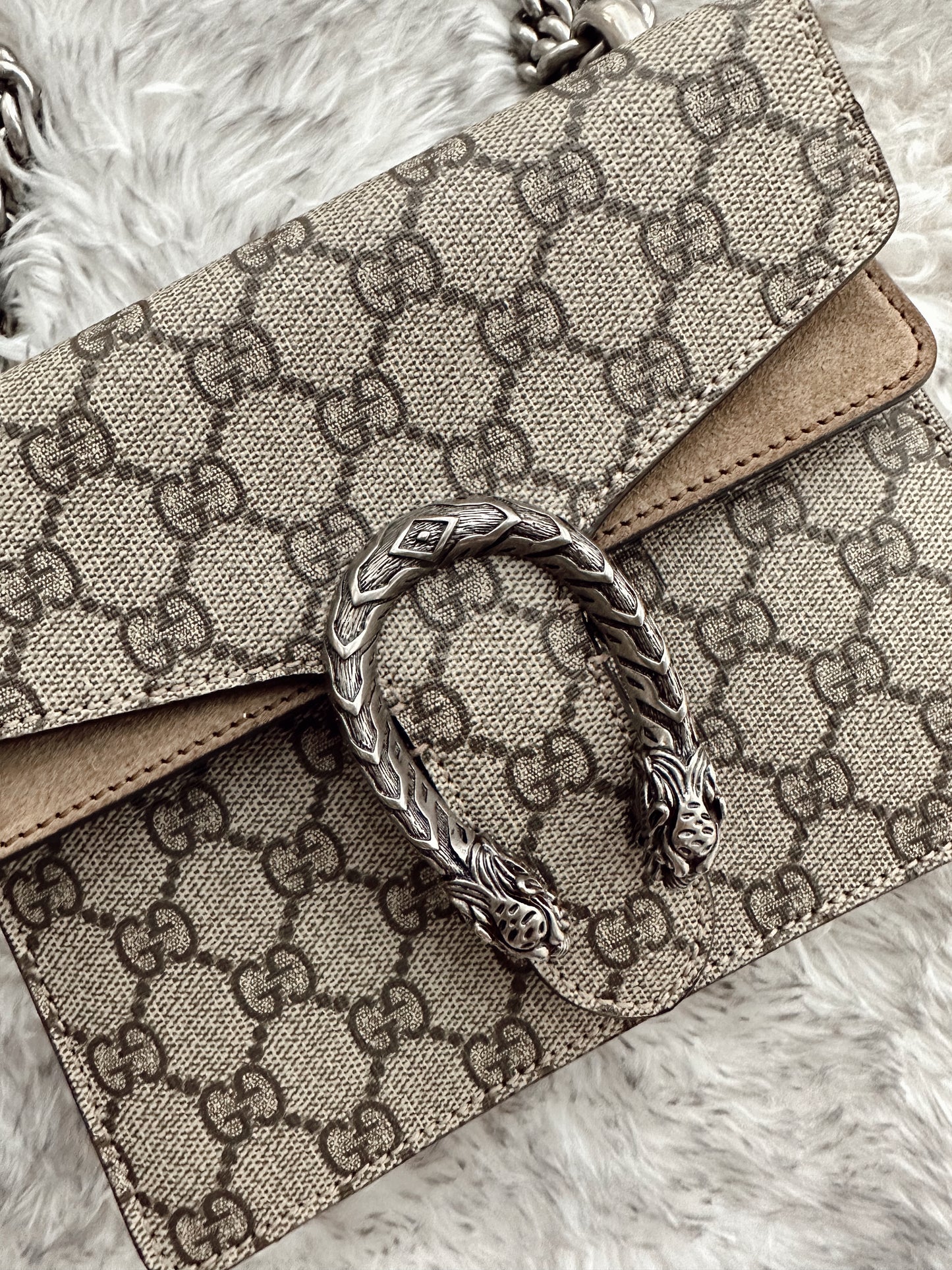 Gucci Dionysus Supreme Mini