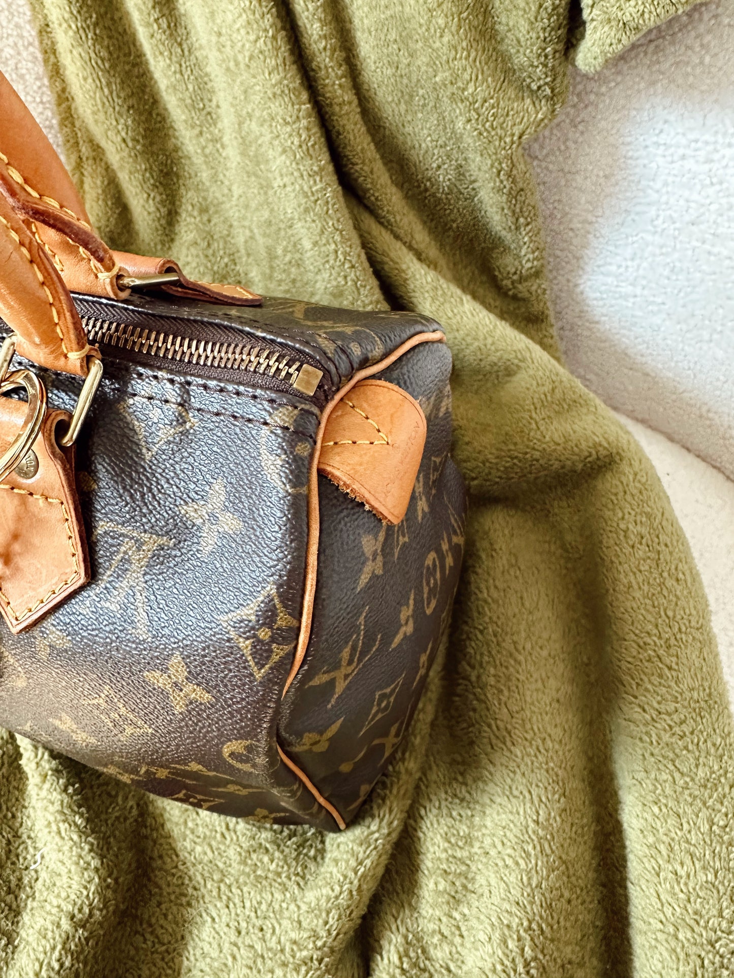 Louis Vuitton Speedy 25 Monogram