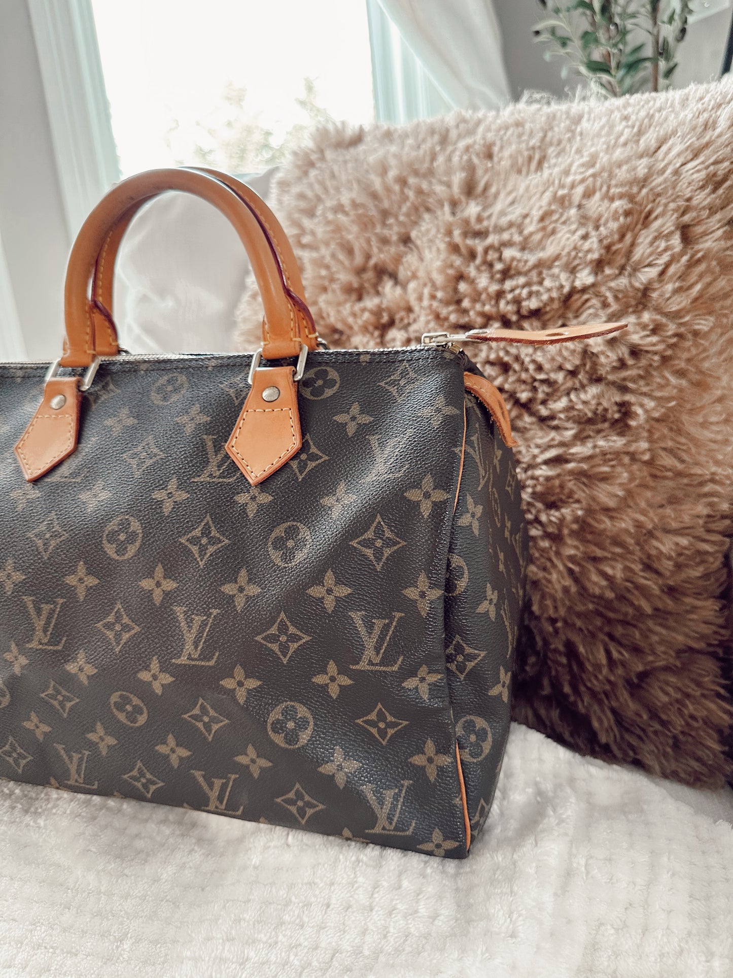 Louis Vuitton Speedy Monogram 30