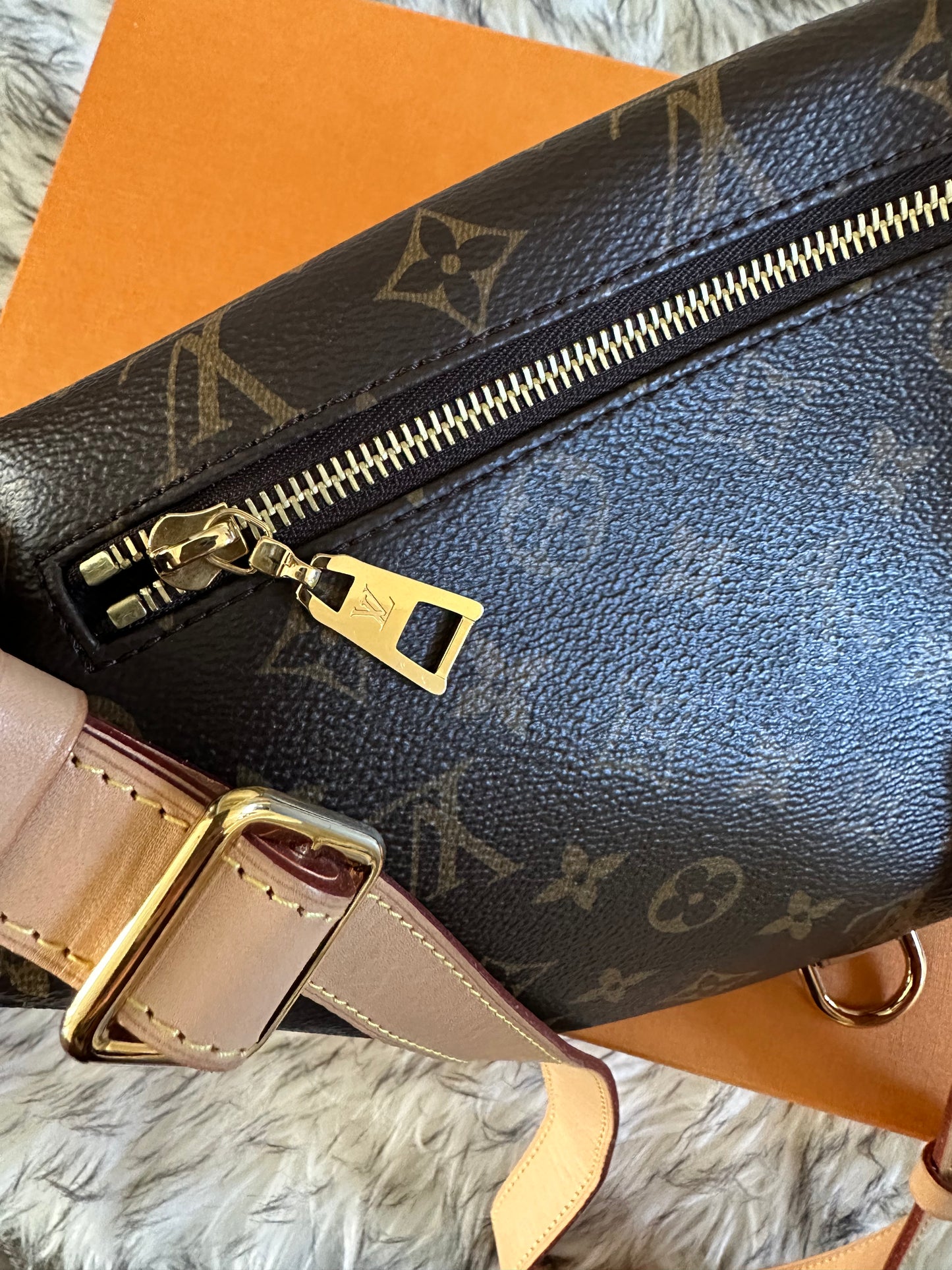 Louis Vuitton Bumbag With Box