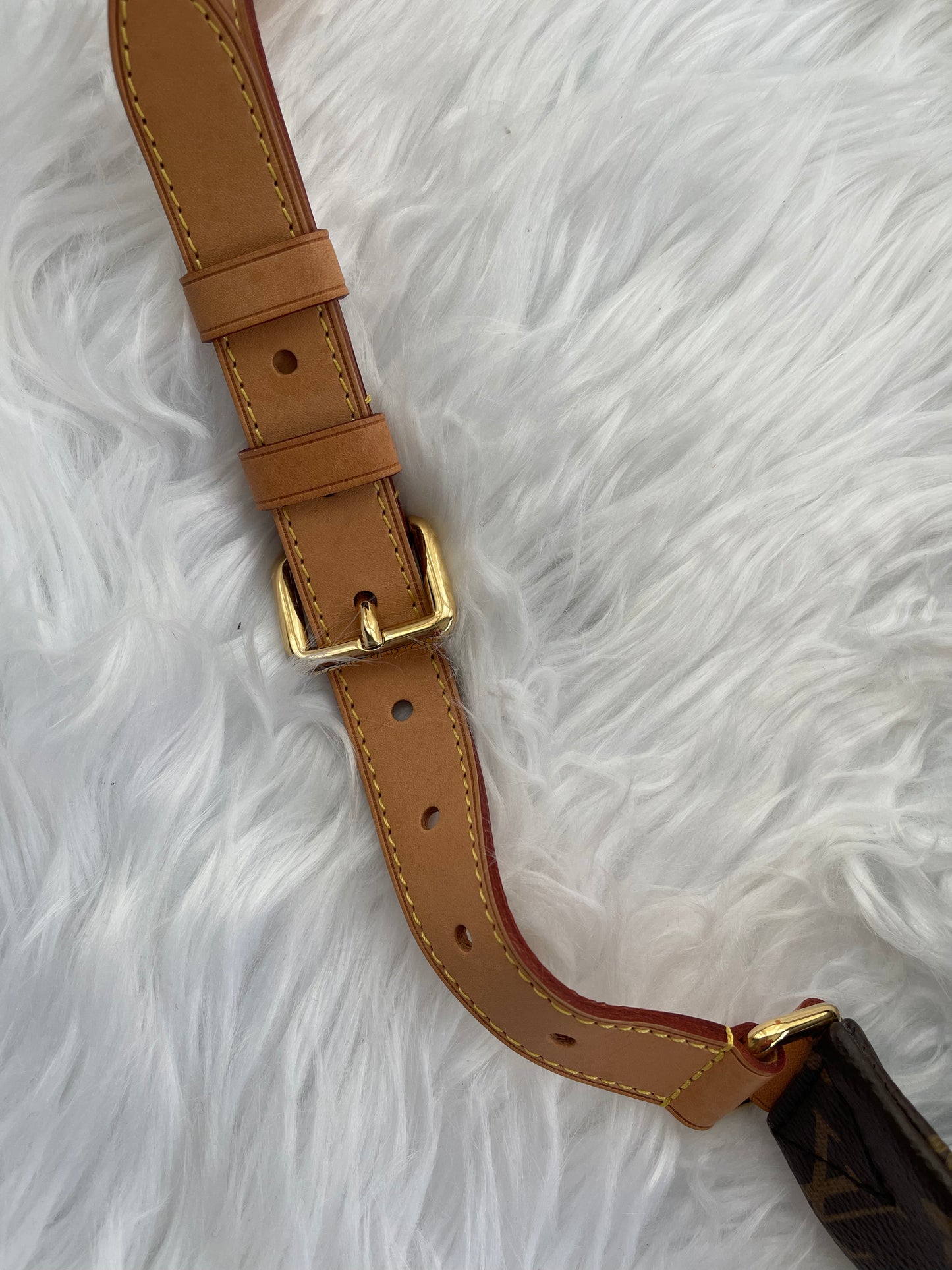 Louis Vuitton Bumbag