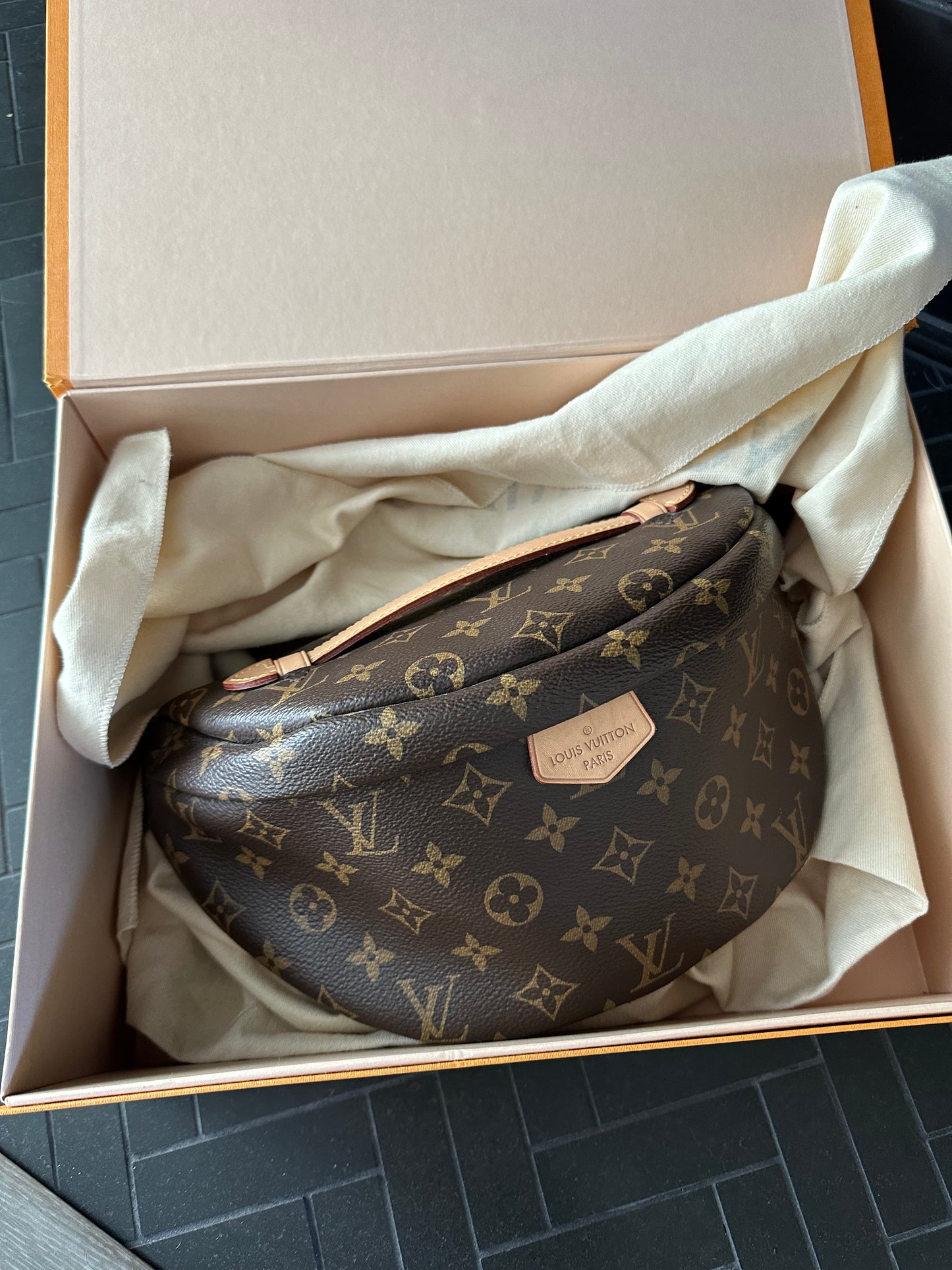 Louis Vuitton Bumbag With Box