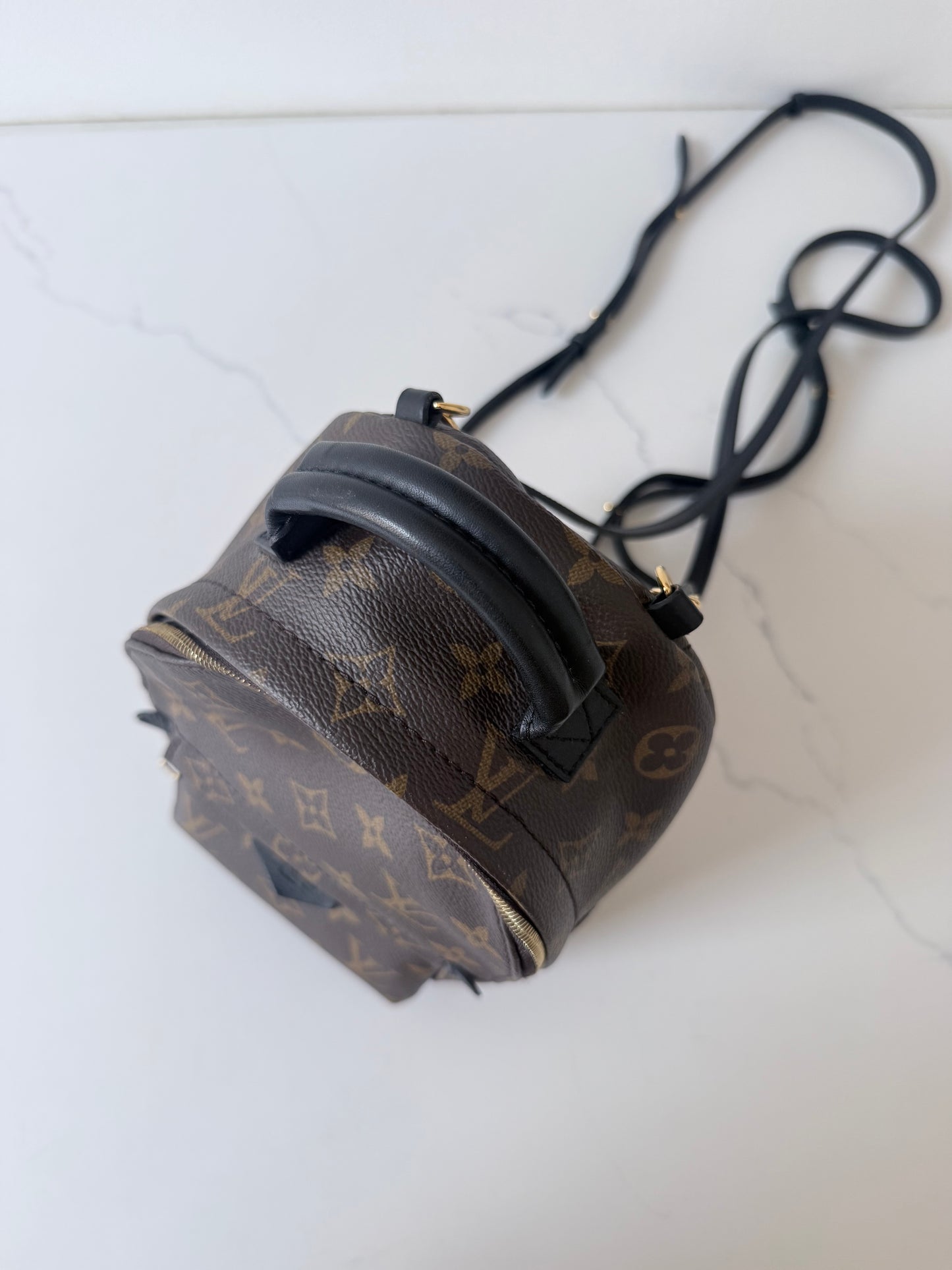 Louis Vuitton Mini Palm Spring Monogram Backpack