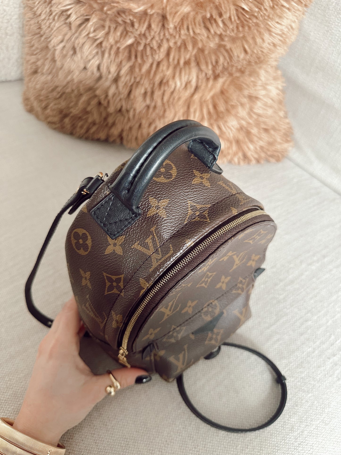 Louis Vuitton Palm Springs Mini Backpack