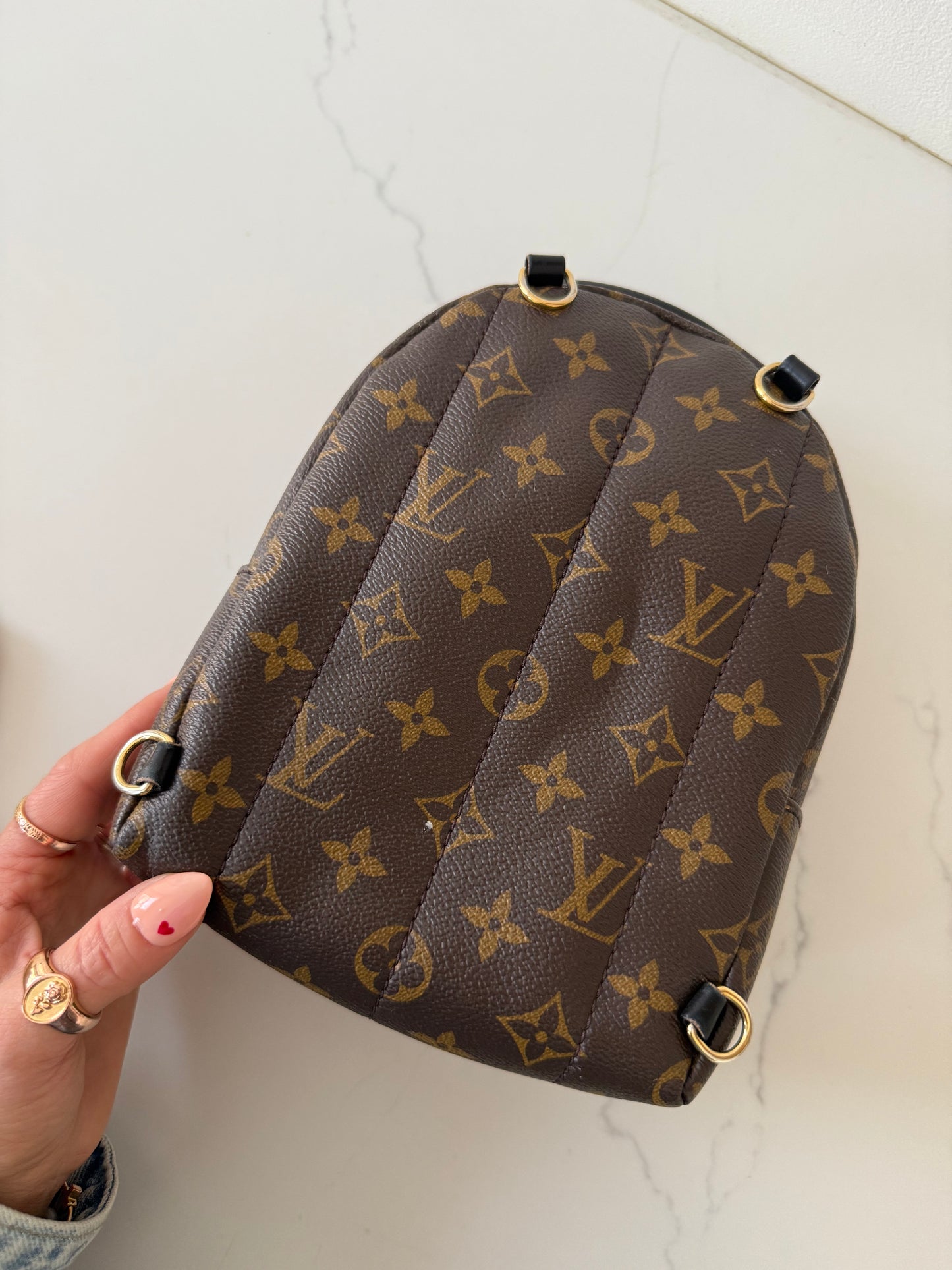 Louis Vuitton Mini Palm Spring Backpack