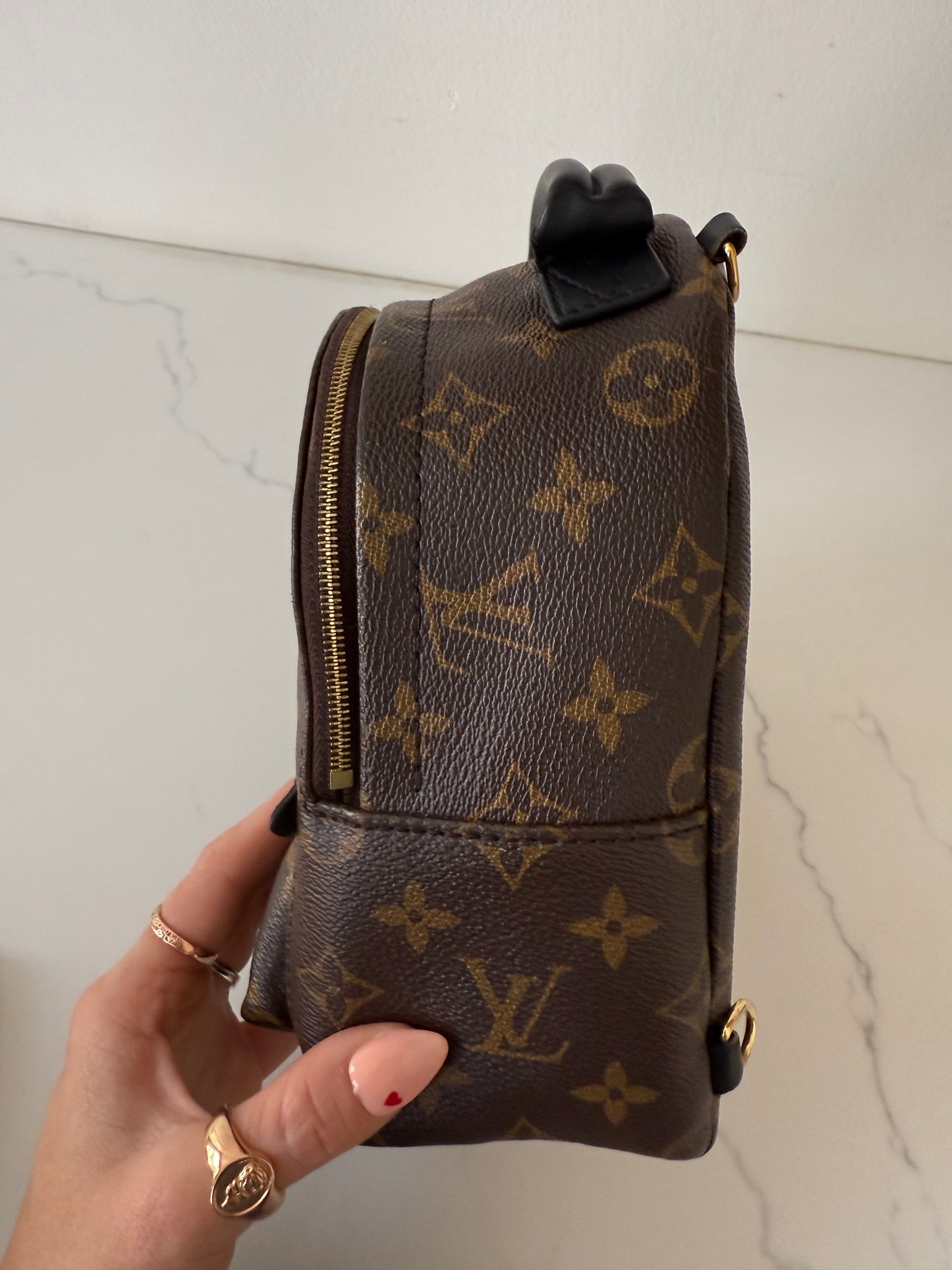 Louis Vuitton Mini Palm Spring Backpack