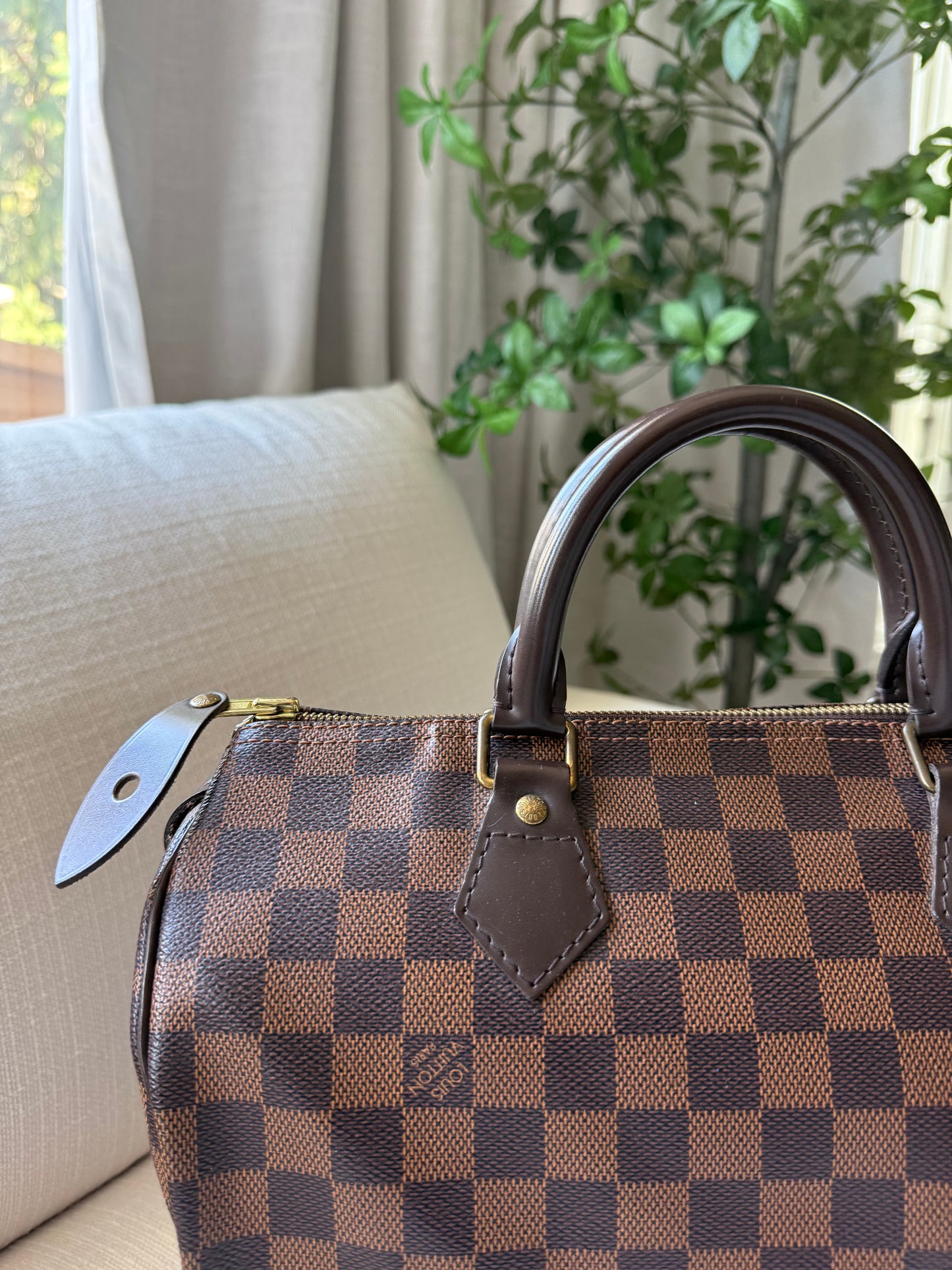 Louis Vuitton Speedy 30 Damier Ebene