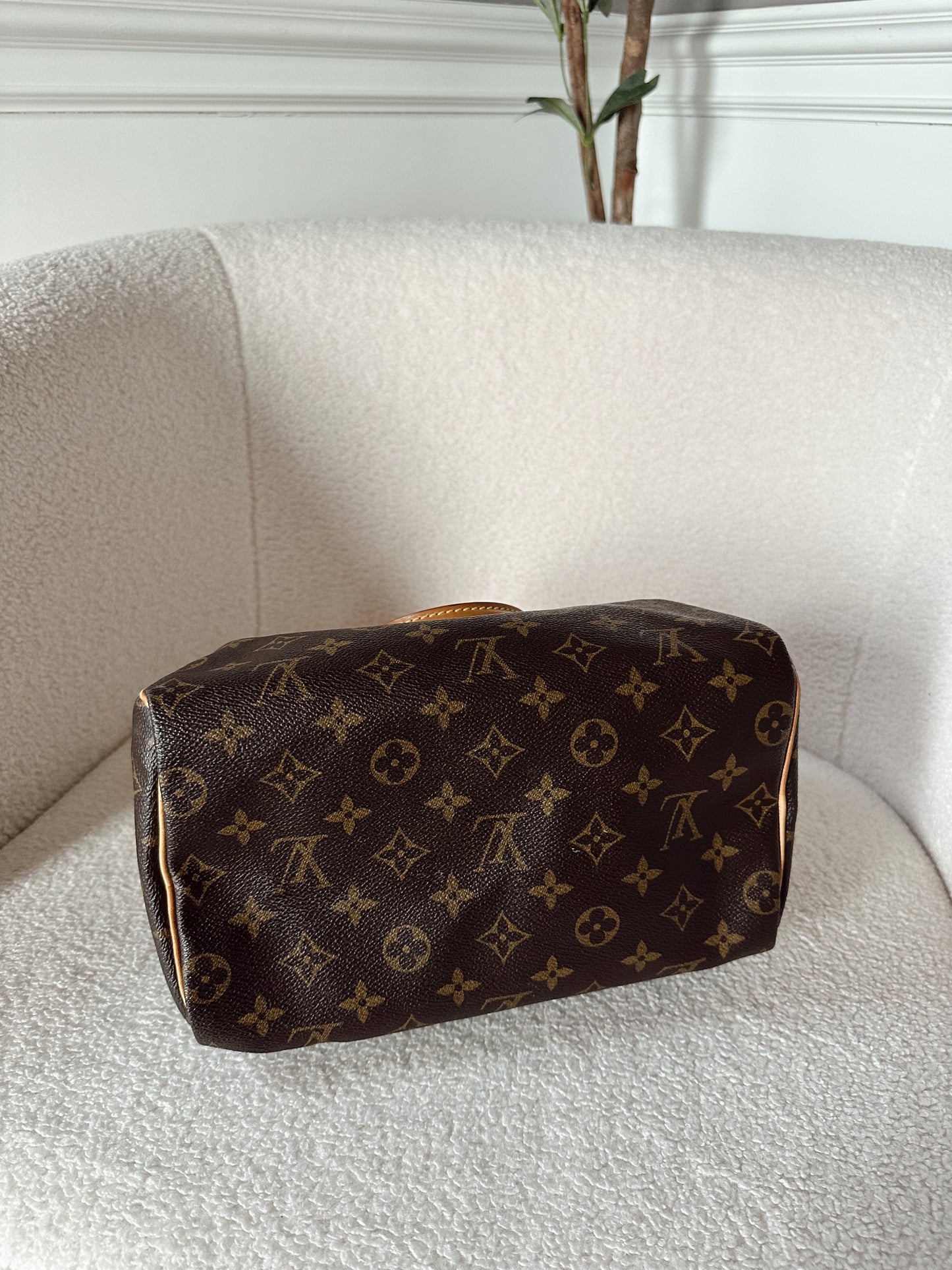 Louis Vuitton Speedy 25 Monogram