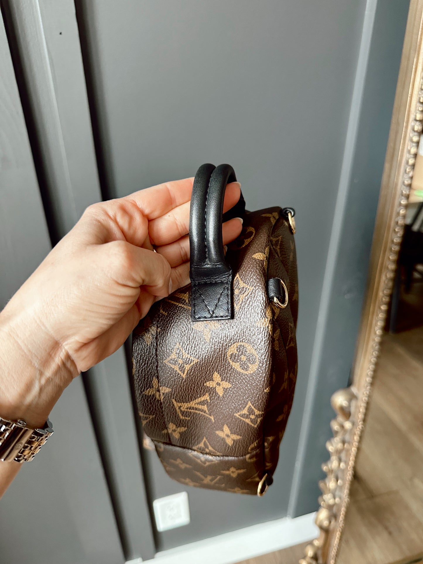 Louis Vuitton Palm Springs Mini Back Pack