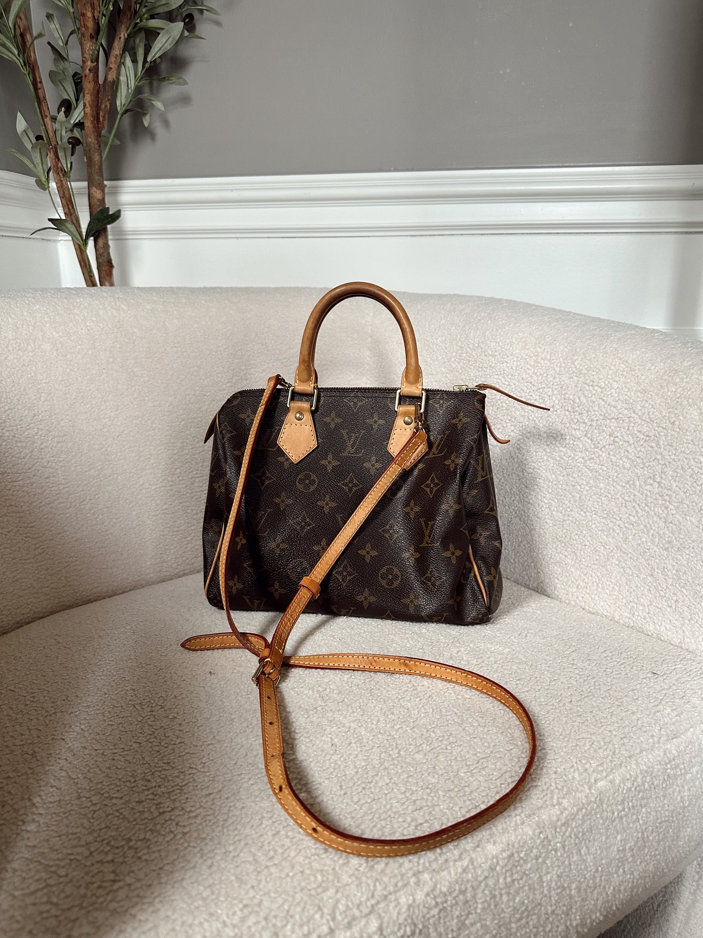 Louis Vuitton Speedy 25 Monogram