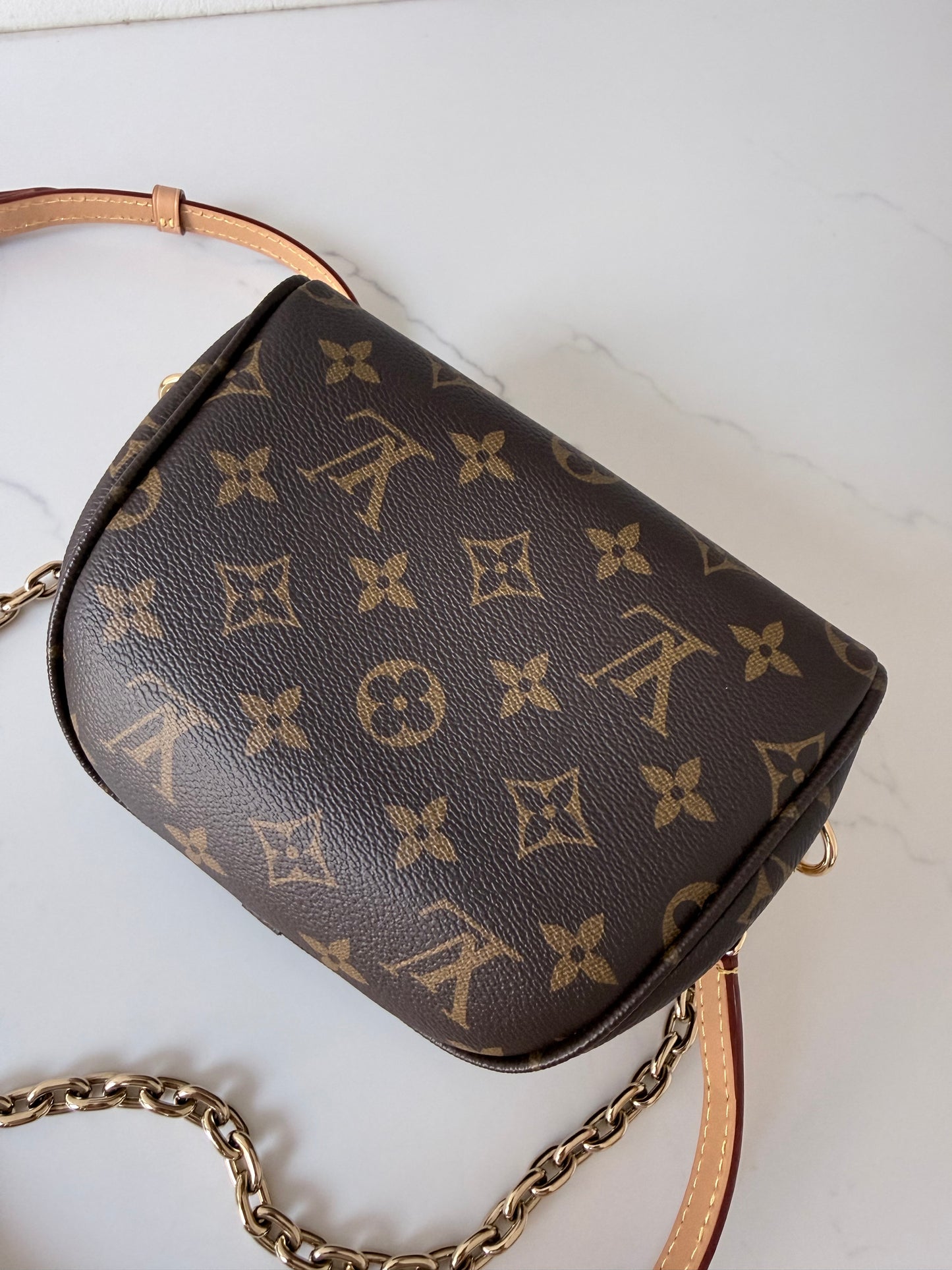 Louis Vuitton Mini Bum Bag
