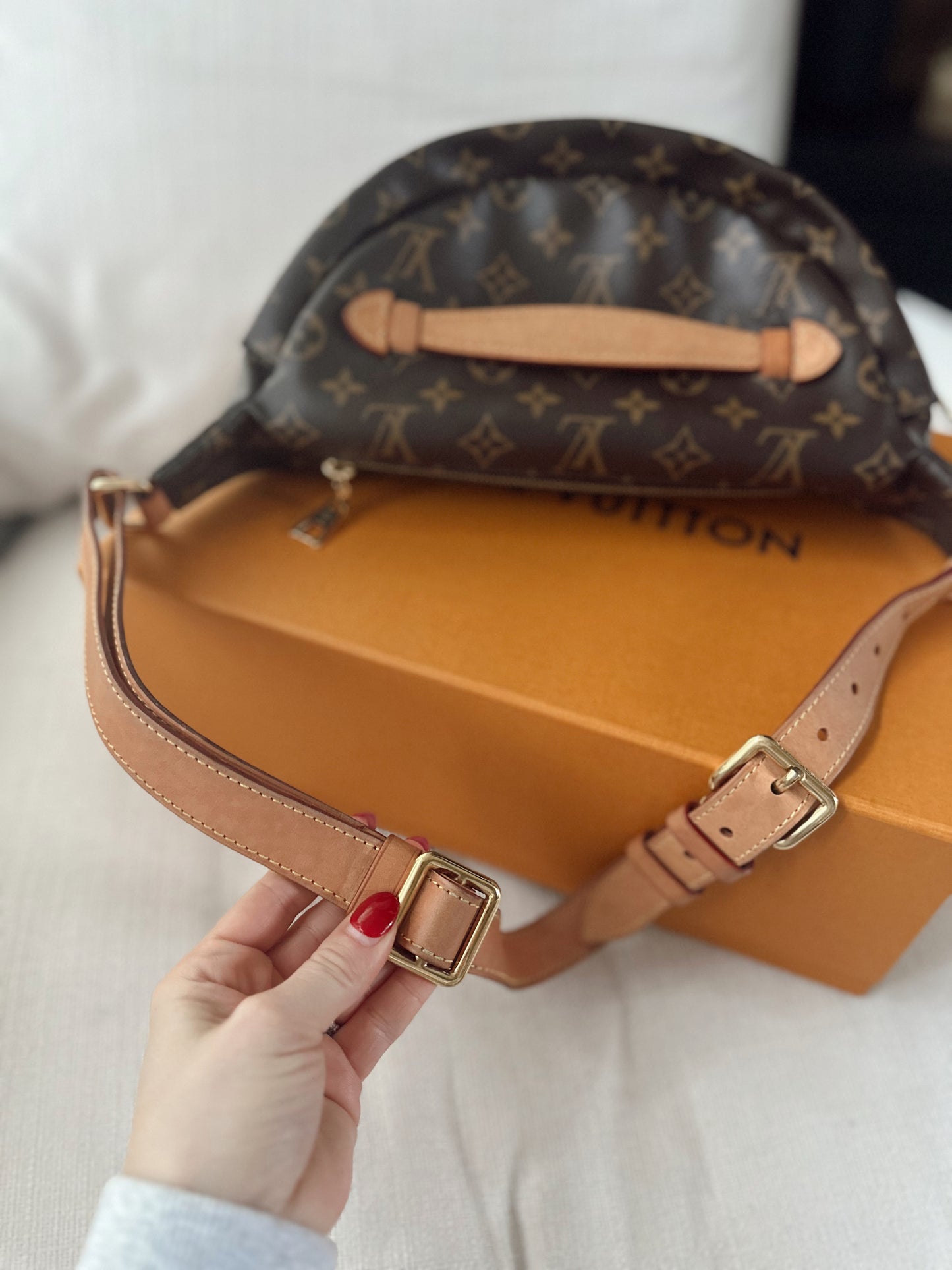 Louis Vuitton Monogram Bumbag