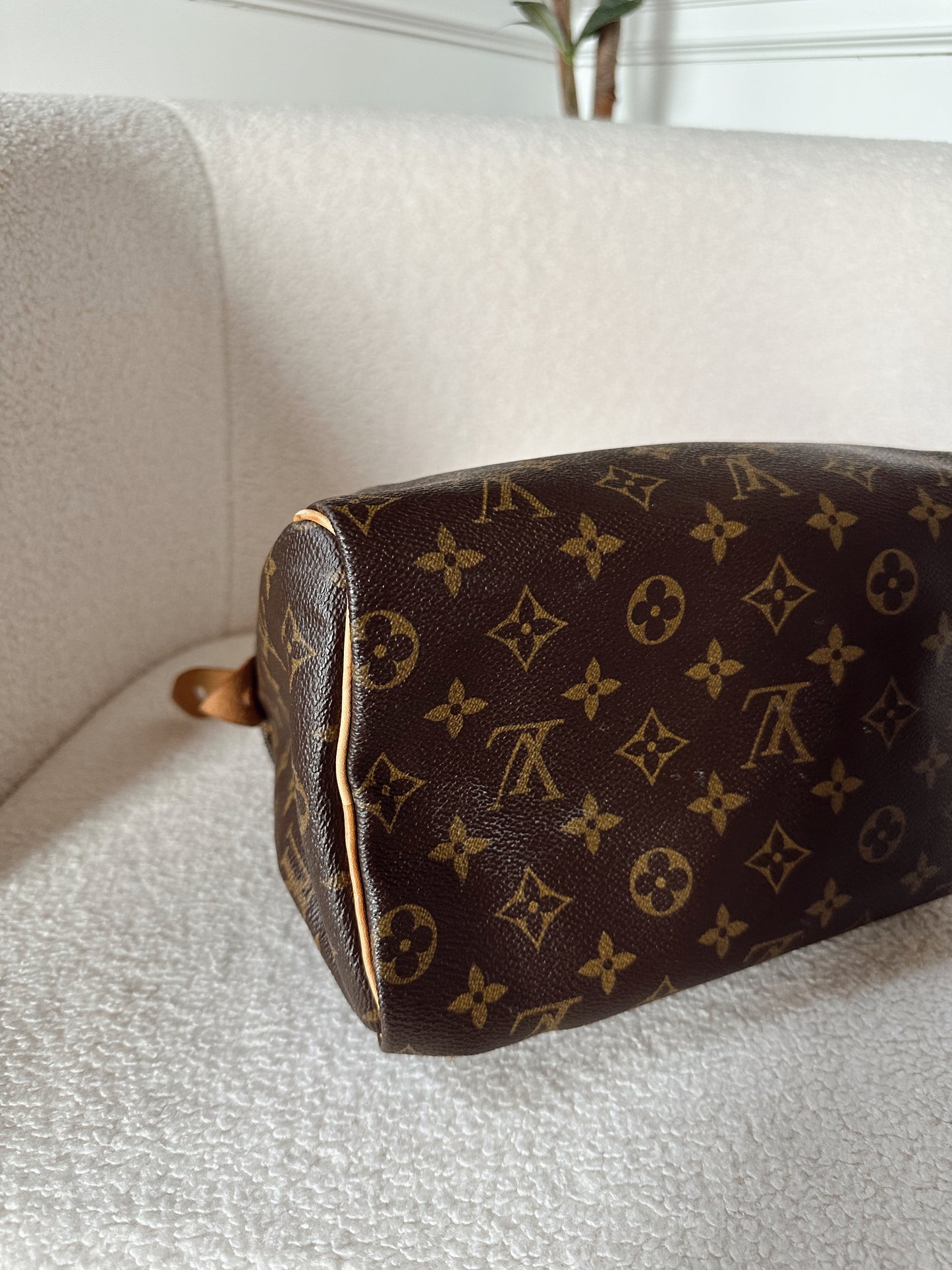 Louis Vuitton Speedy 25 Monogram