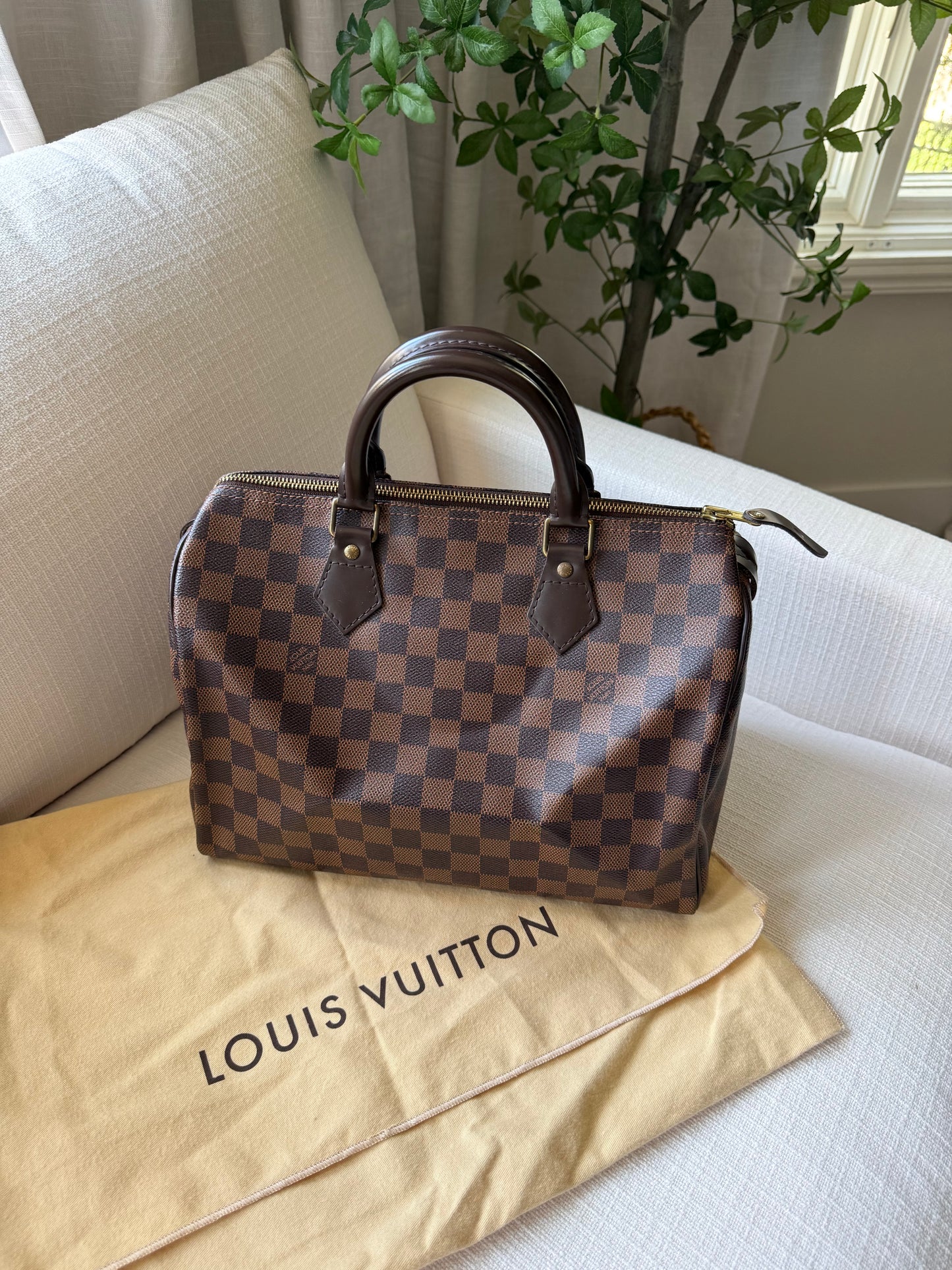 Louis Vuitton Speedy 30 Damier Ebene