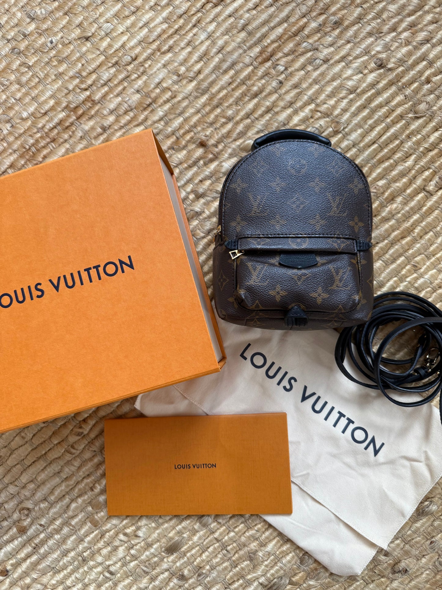 Louis Vuitton Mini Palm Spring Backpack