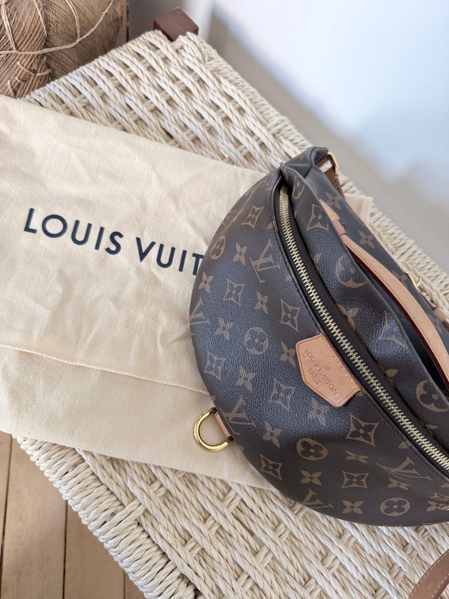 Louis Vuitton Bumbag Monogram