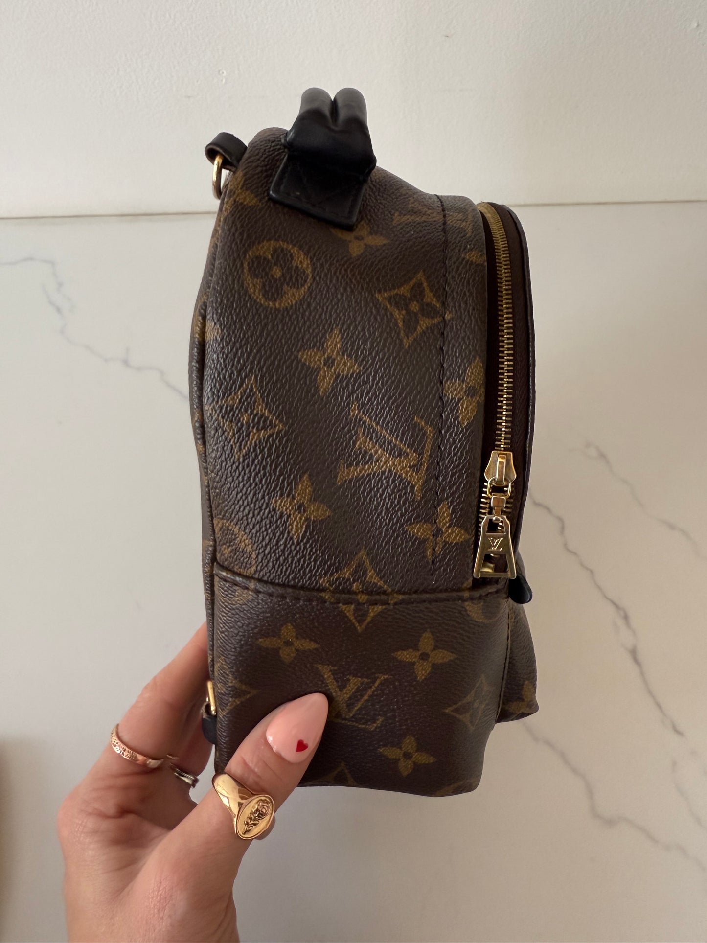 Louis Vuitton Mini Palm Spring Backpack