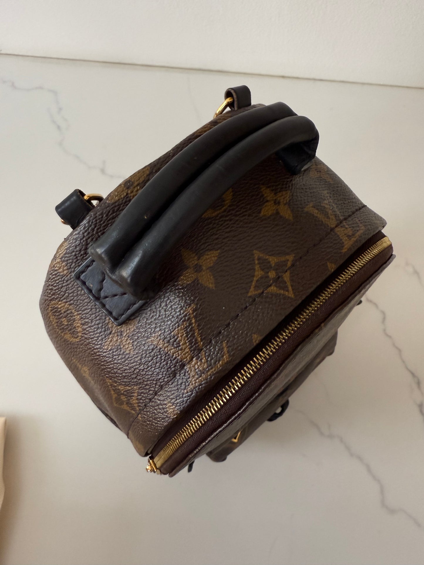 Louis Vuitton Mini Palm Spring Backpack