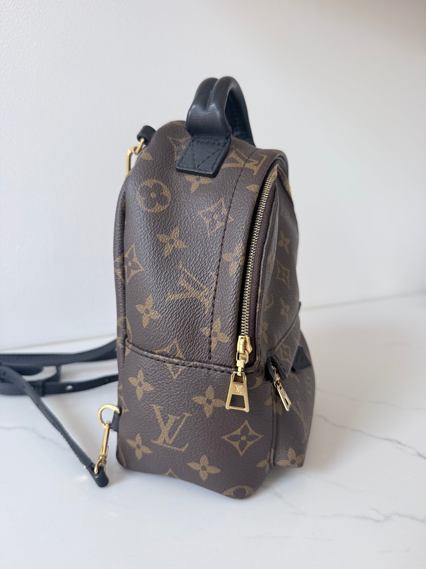 Louis Vuitton Mini Palm Spring Monogram Backpack
