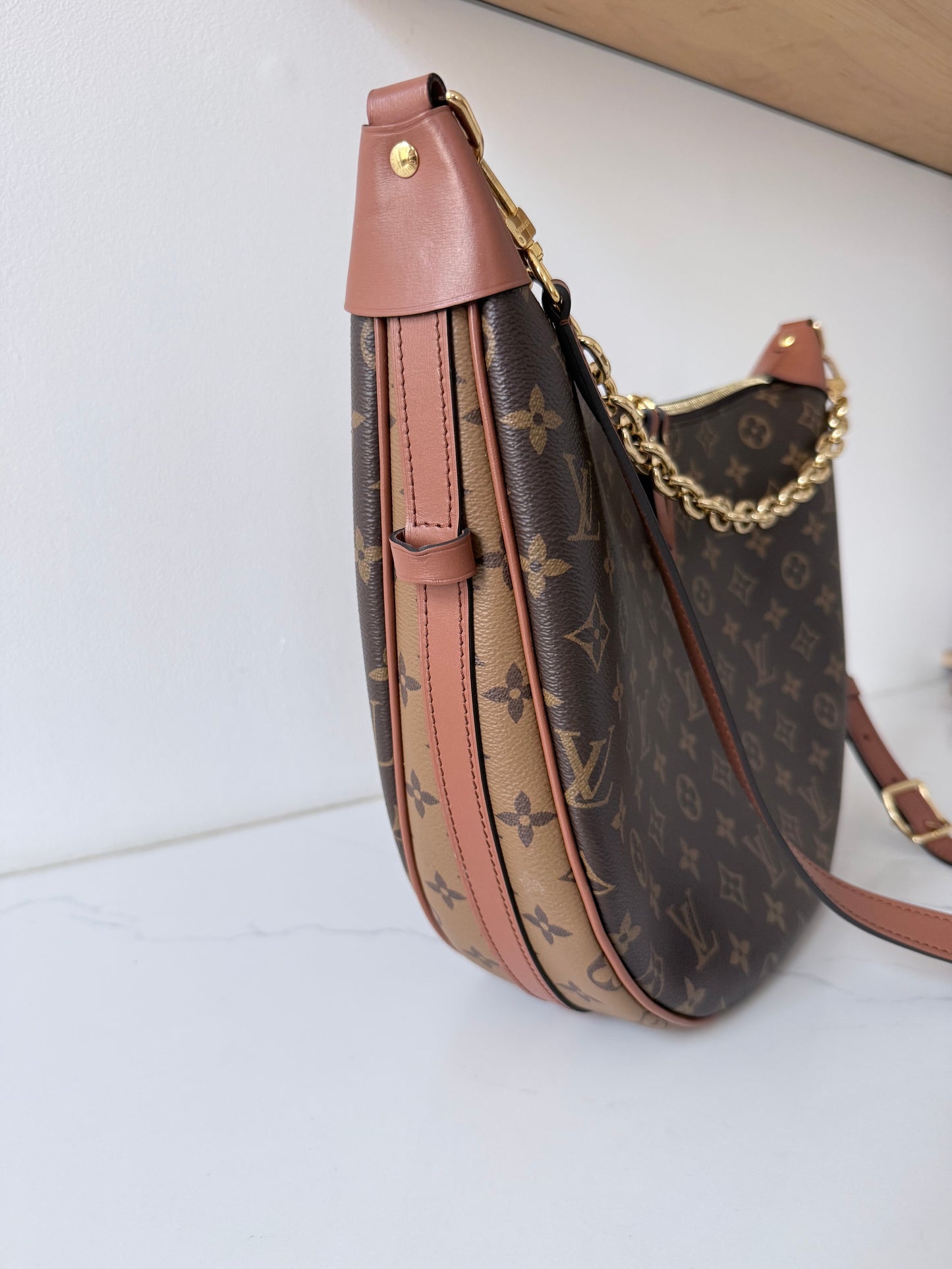 Louis Vuitton Loop Hobo Reverse Monogram Canvas