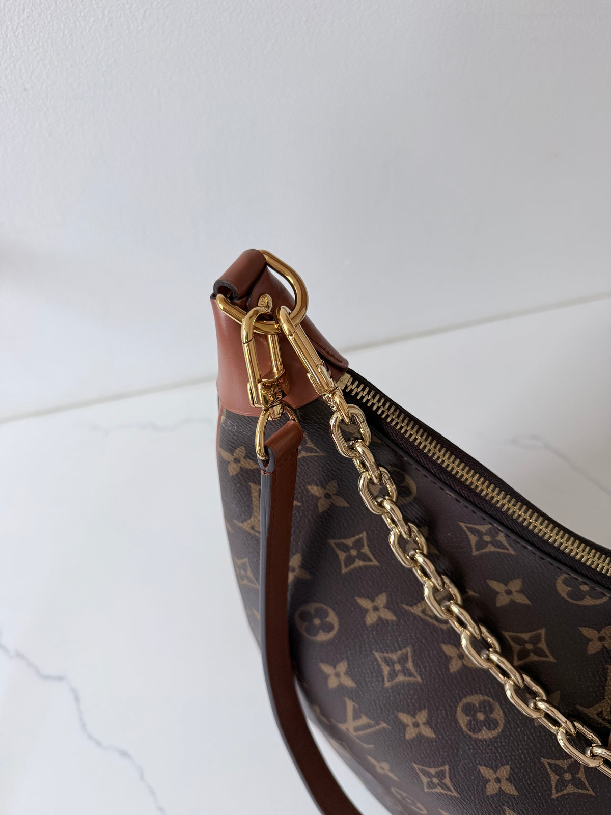 Louis Vuitton Loop Hobo Reverse Monogram Canvas